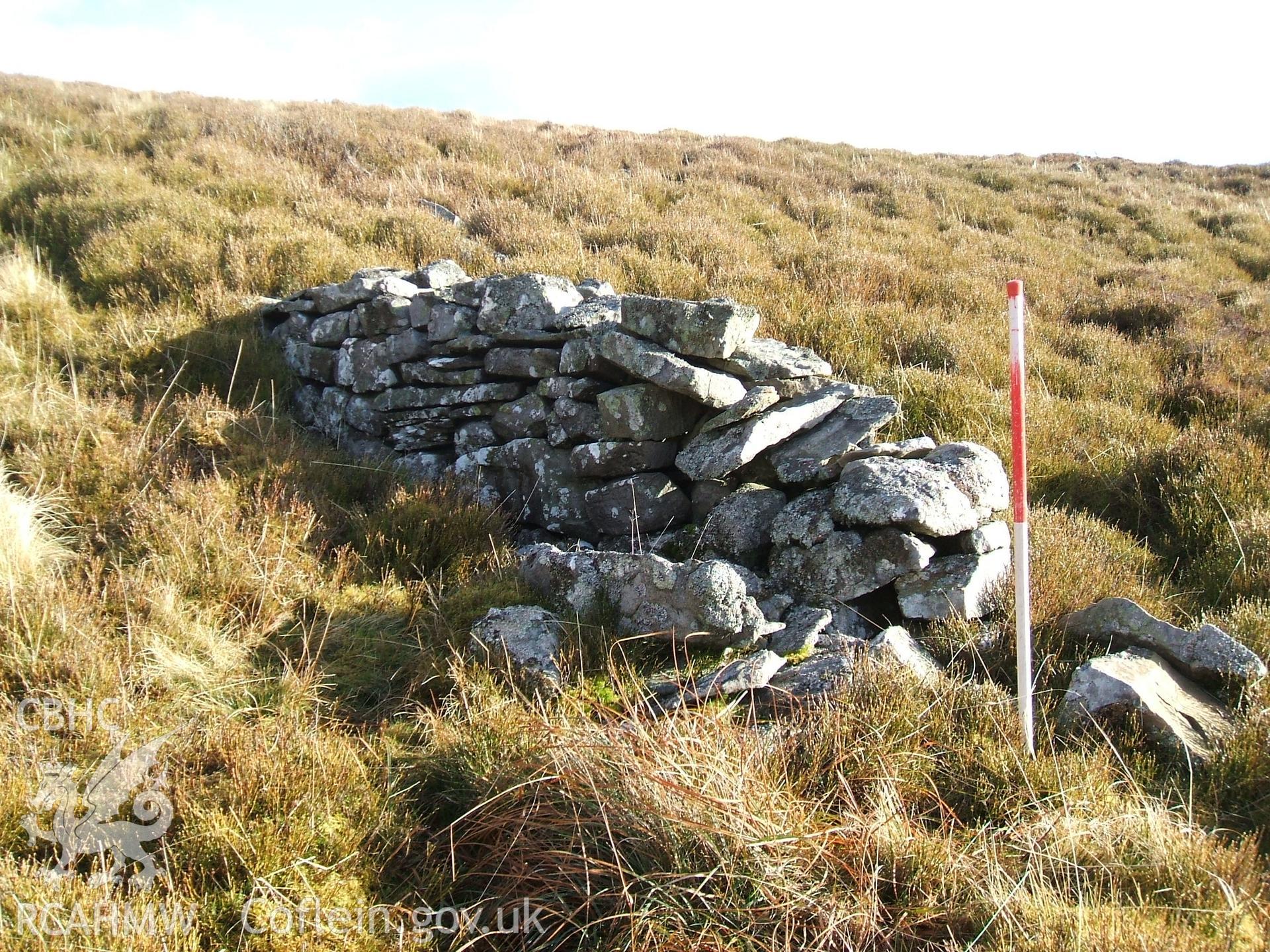 Digital colour photograph of a wall at Mynydd Llangynidr west taken on 13/01/2009 by B. Britton during the Mynydd Llangynidr Upland Survey undertaken by ArchaeoPhysica.