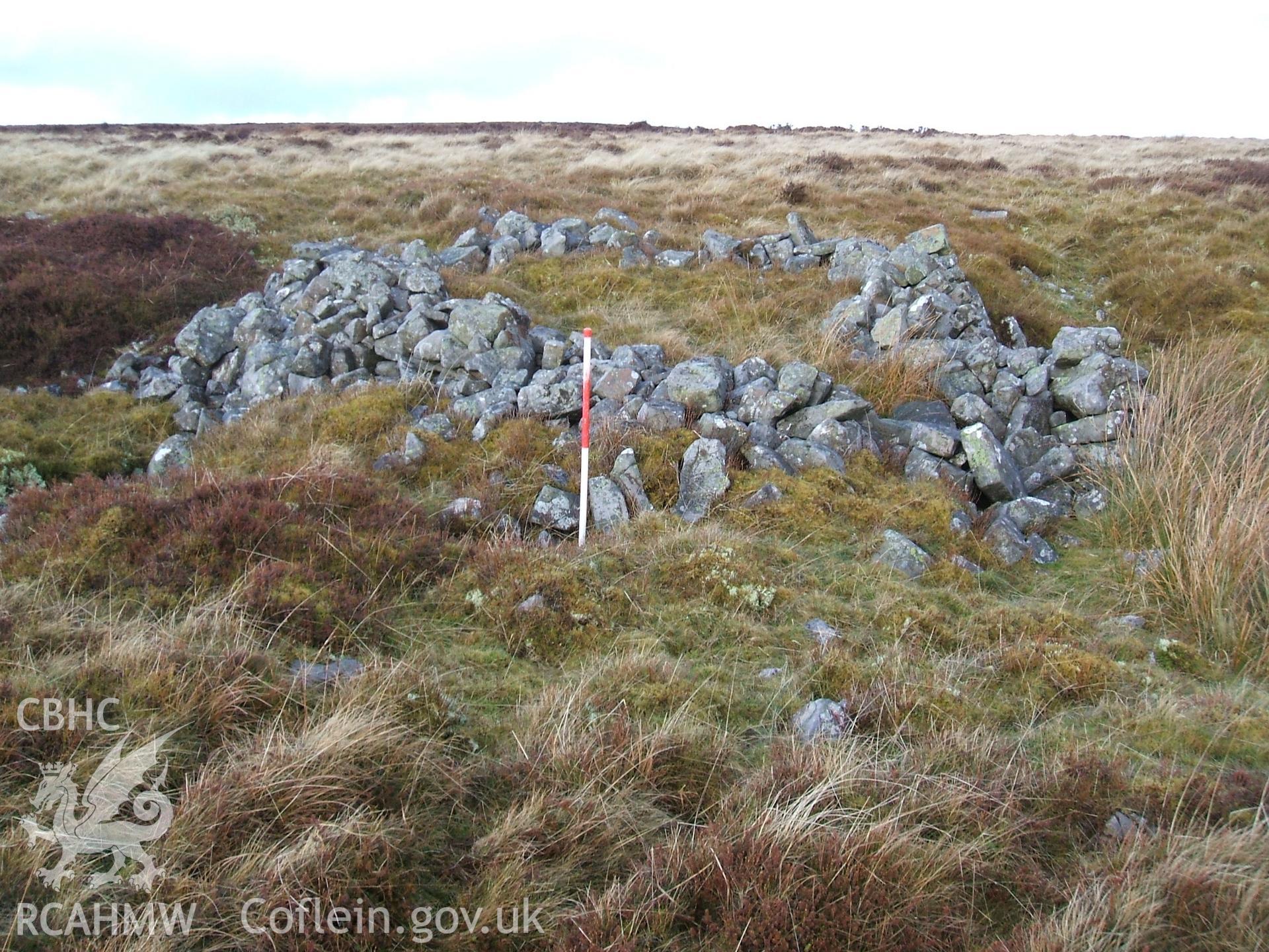 Digital colour photograph of a sheep fold at Mynydd Llangynidr east IX taken on 13/01/2009 by B. Britton during the Mynydd Llangynidr Upland Survey undertaken by ArchaeoPhysica.