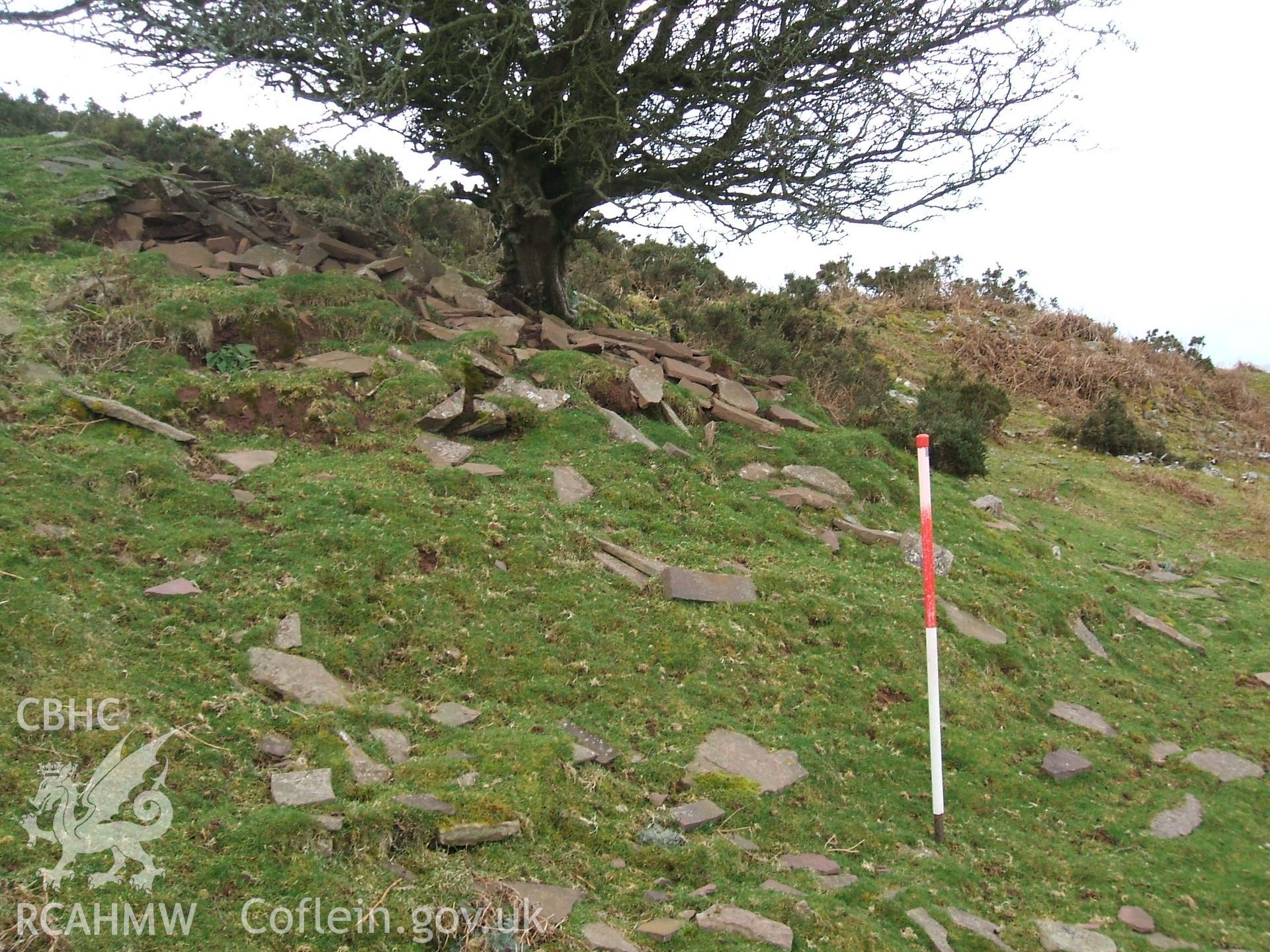 Digital colour photograph of a limestone quarry at Carreg Wen Fawr y Rugos IV taken on 04/03/2009 by B. Britton during the Mynydd Llangynidr Upland Survey undertaken by ArchaeoPhysica.
