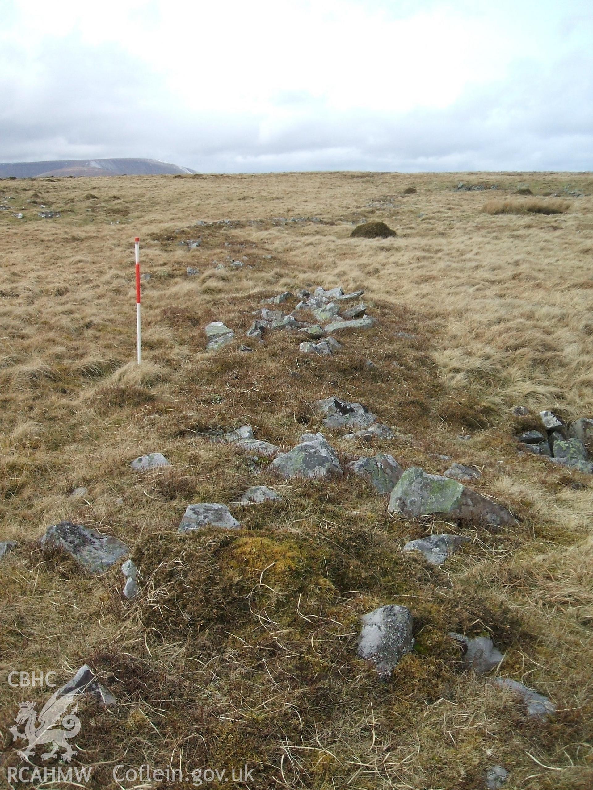 Digital colour photograph of a boundary at Clo Cadno taken on 06/03/2009 by B. Britton during the Mynydd Llangynidr Upland Survey undertaken by ArchaeoPhysica.