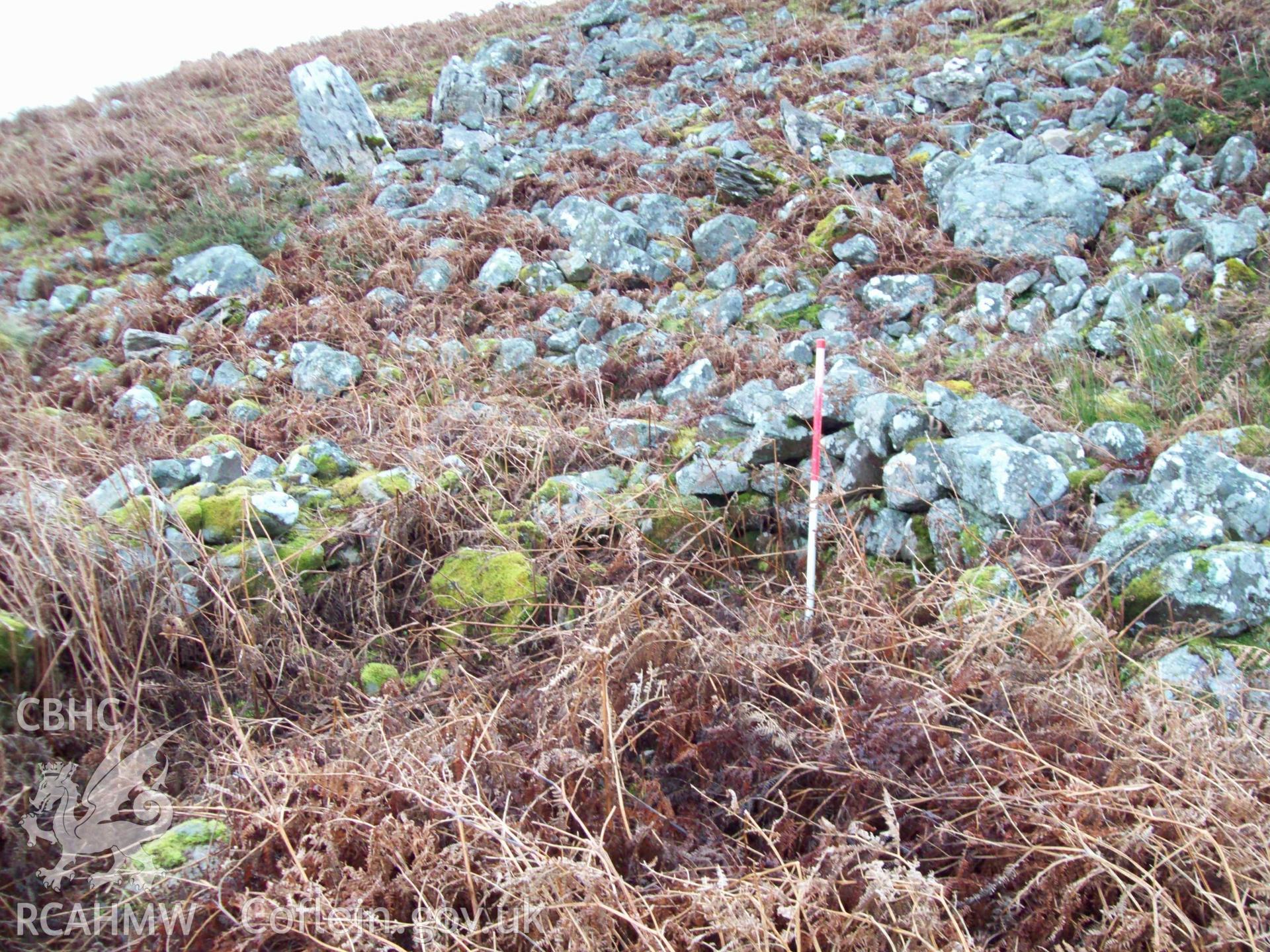 Digital colour photograph of a shepherds hut at Blaen Cwmclaisfer III taken on 16/01/2009 by G. Arnold during the Mynydd Llangynidr Upland Survey undertaken by ArchaeoPhysica.