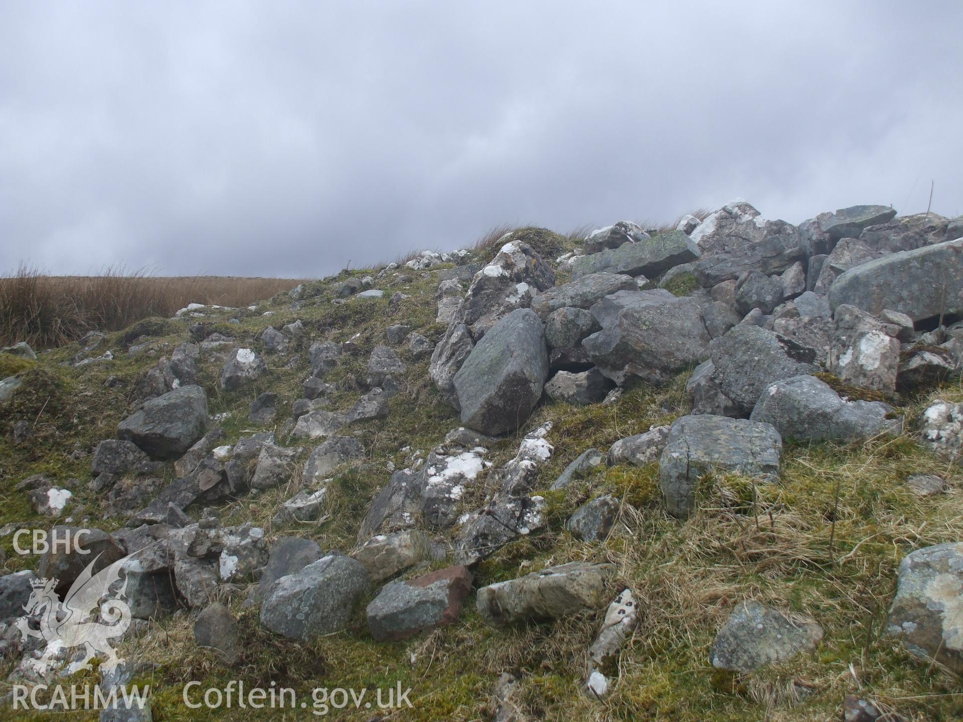 Digital colour photograph of Darren Ddu house platform taken on 29/02/2008 by M.J. Roseveare during the Mynydd Llangynidr Upland Survey undertaken by ArchaeoPhysica.