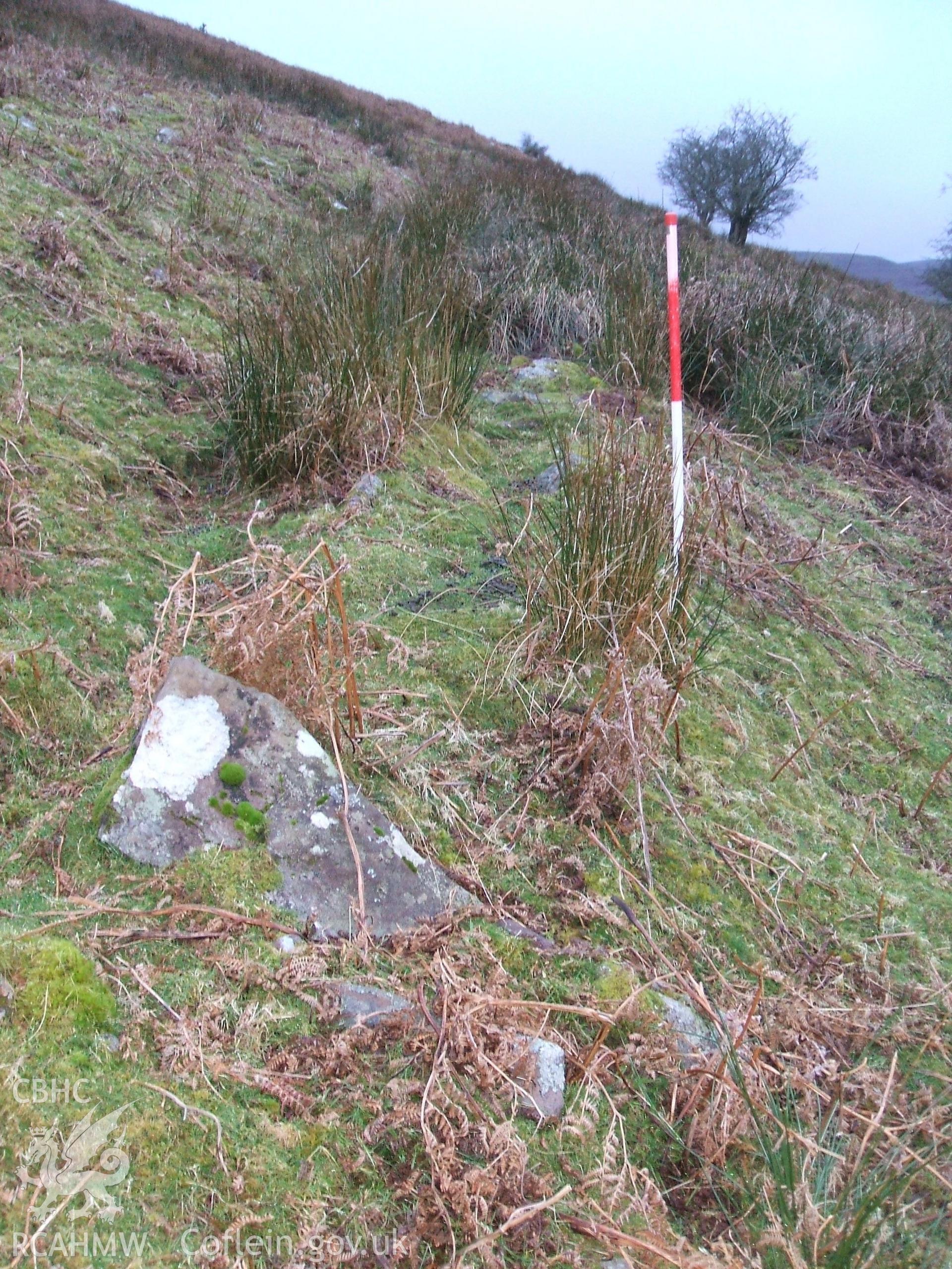 Digital colour photograph of a boundary at Blaen Cwmclaisfer V taken on 16/01/2009 by B. Britton during the Mynydd Llangynidr Upland Survey undertaken by ArchaeoPhysica.