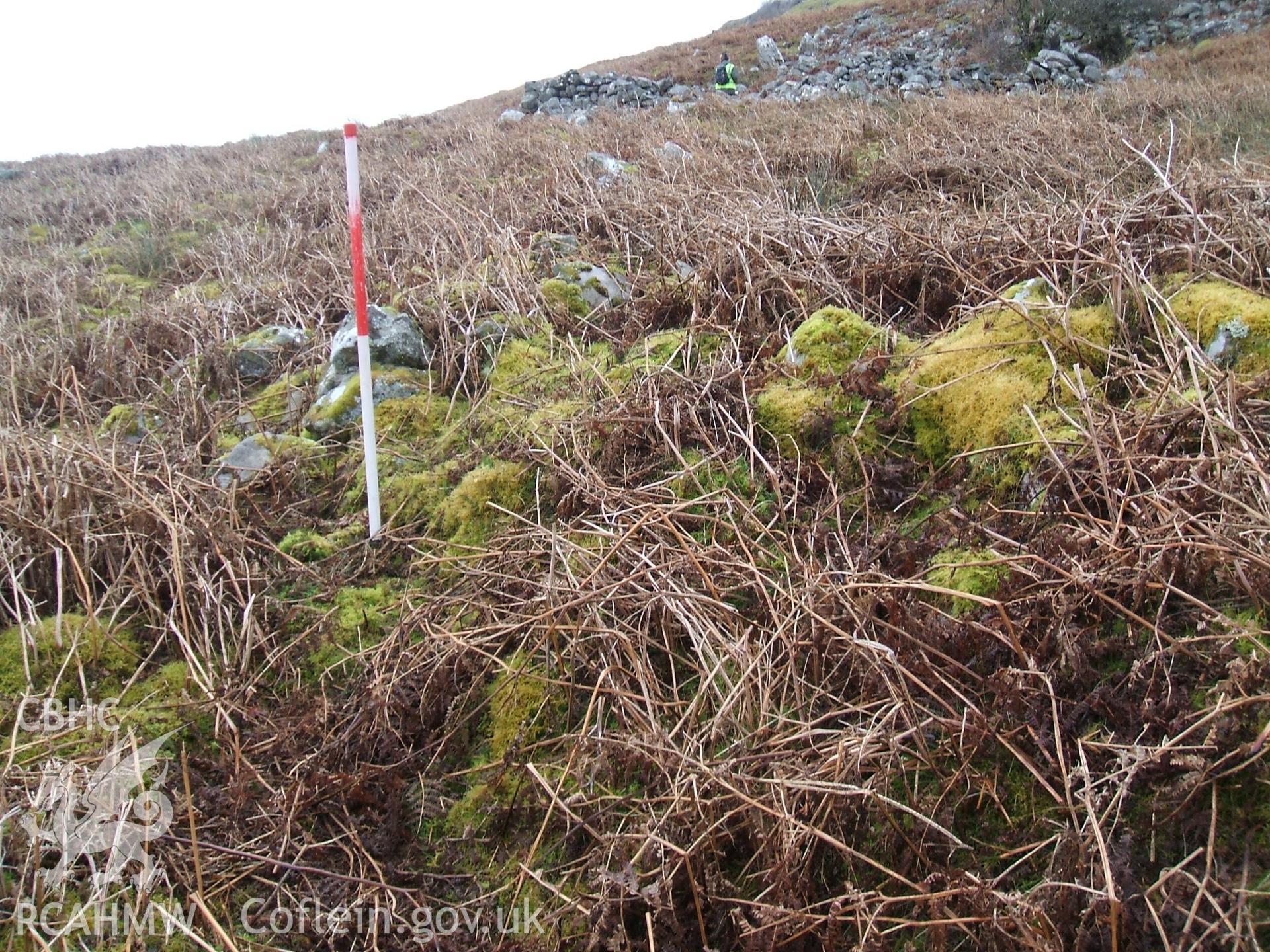 Digital colour photograph of a boundary at Blaen Cwmclaisfer II taken on 16/01/2009 by B. Britton during the Mynydd Llangynidr Upland Survey undertaken by ArchaeoPhysica.