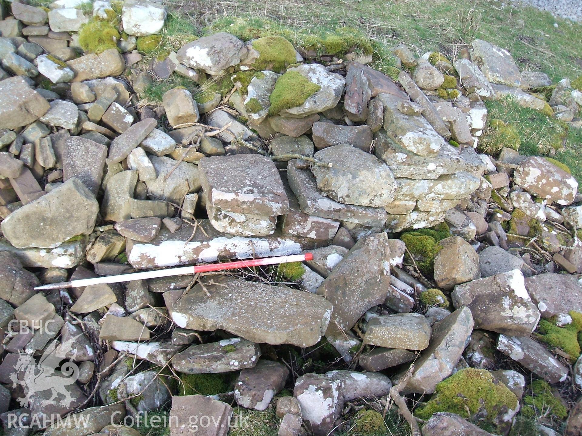 Digital colour photograph of a house at Blaen Cwmclaisfer II taken on 04/03/2009 by B. Britton during the Mynydd Llangynidr Upland Survey undertaken by ArchaeoPhysica.