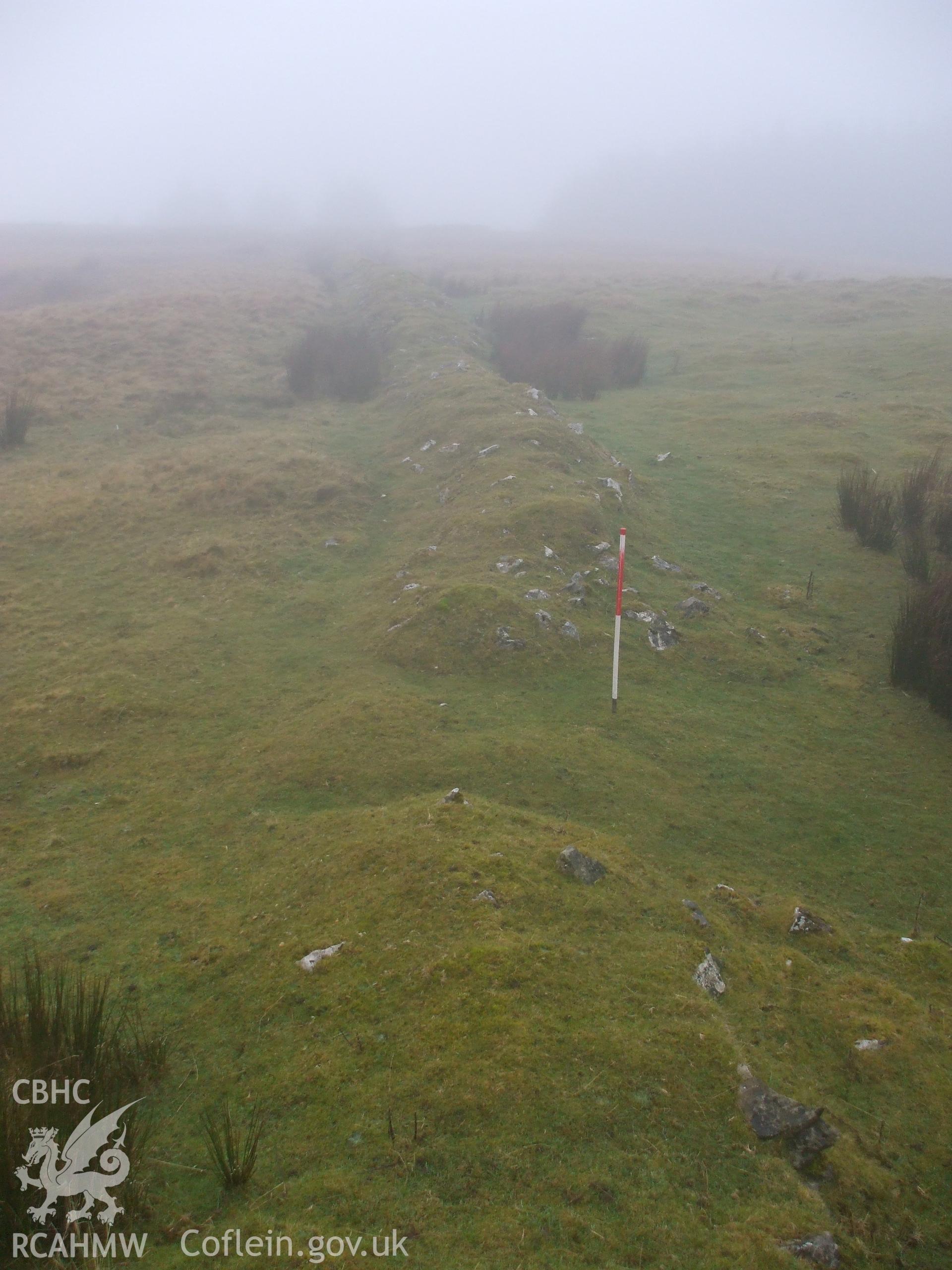 Digital colour photograph of a field boundary at Ffos y Wern I taken on 16/12/2008 by N. Paveley during the Mynydd Llangynidr Upland Survey undertaken by ArchaeoPhysica.