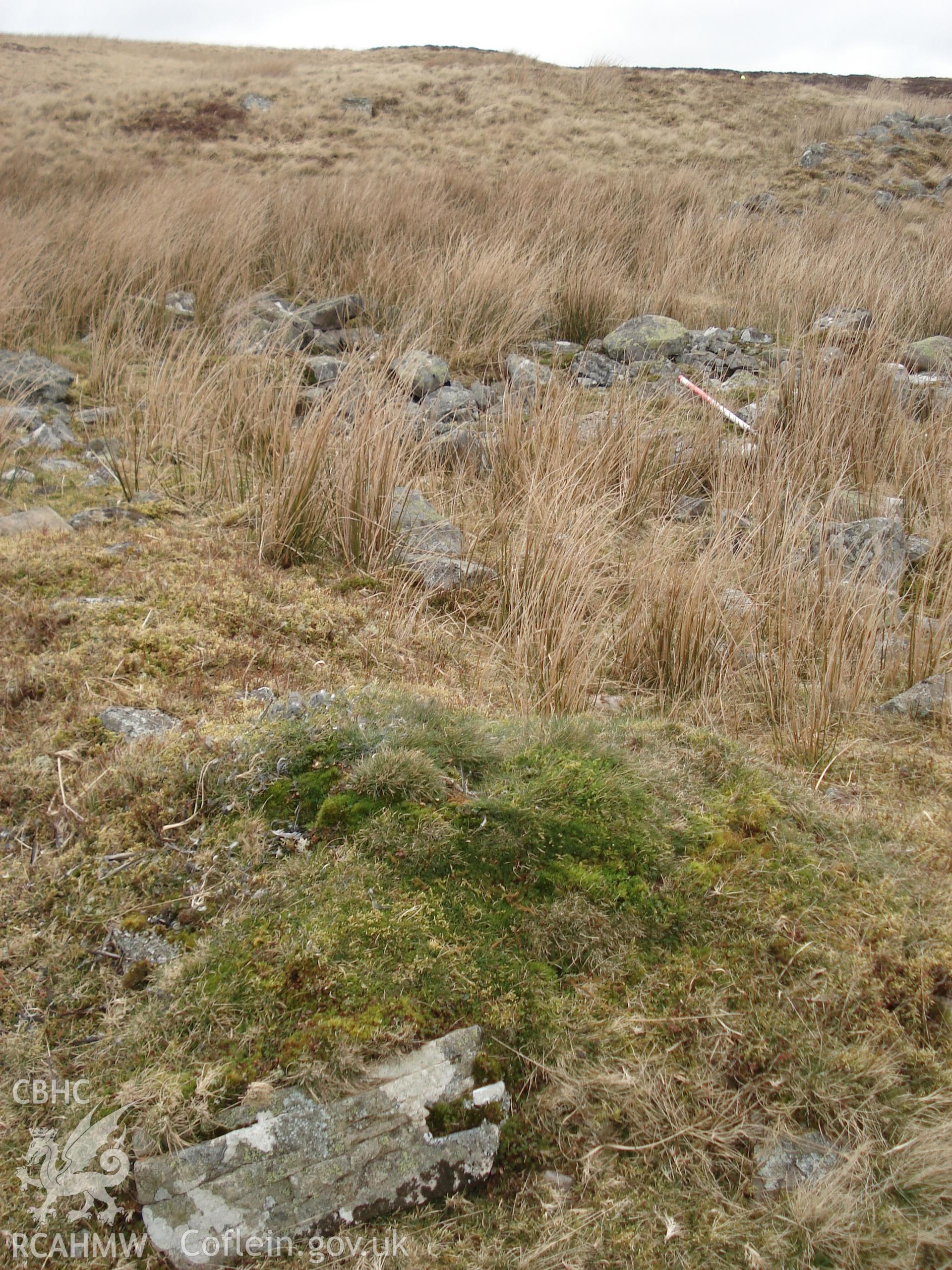 Digital colour photograph of a hut at Darren Ddu enclosure I taken on 29/02/2008 by M. Lafuente during the Mynydd Llangynidr Upland Survey undertaken by ArchaeoPhysica.