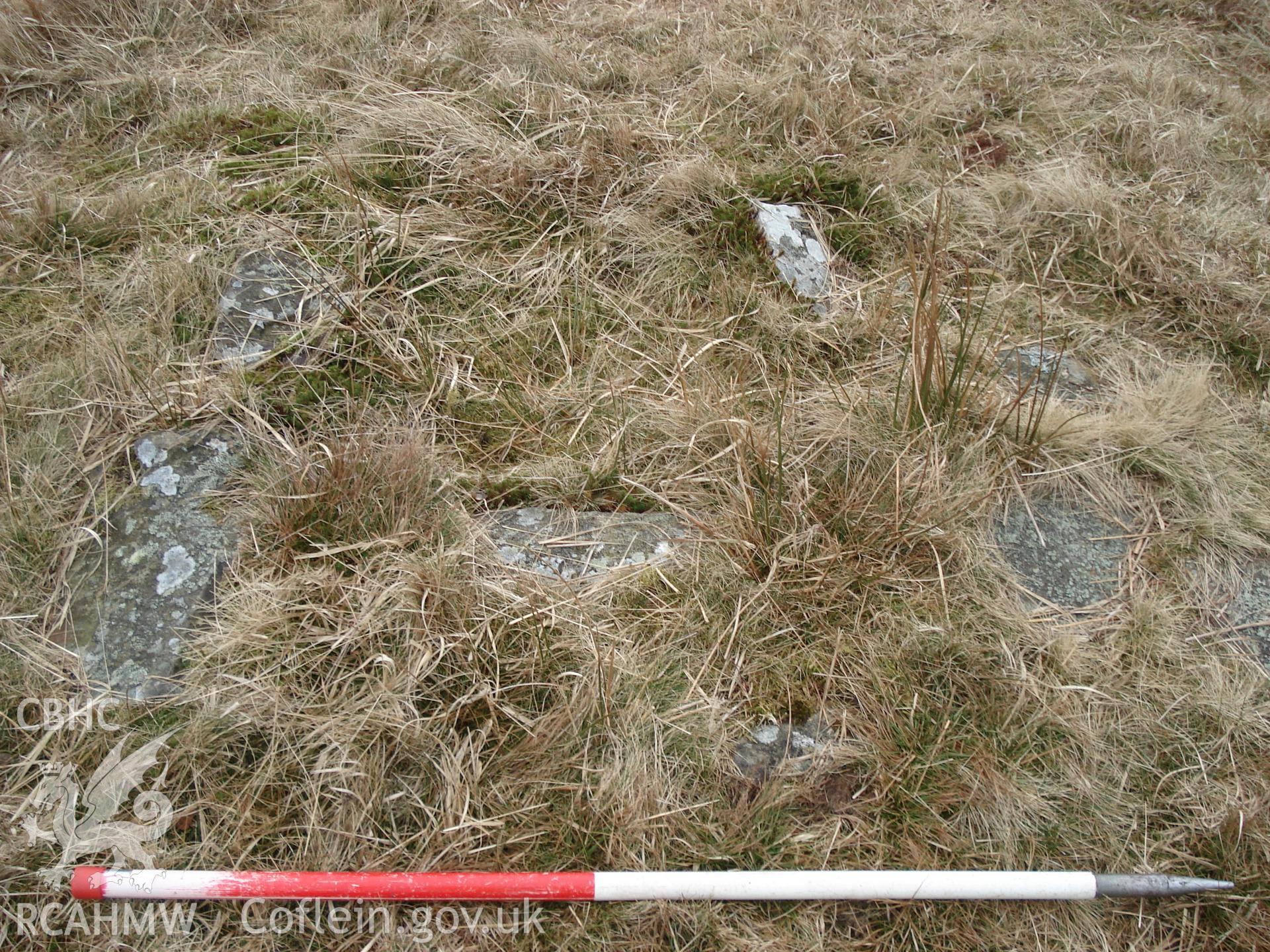 Digital colour photograph of Darren Ddu hearth taken on 29/02/2008 by M. Lafuente during the Mynydd Llangynidr Upland Survey undertaken by ArchaeoPhysica.