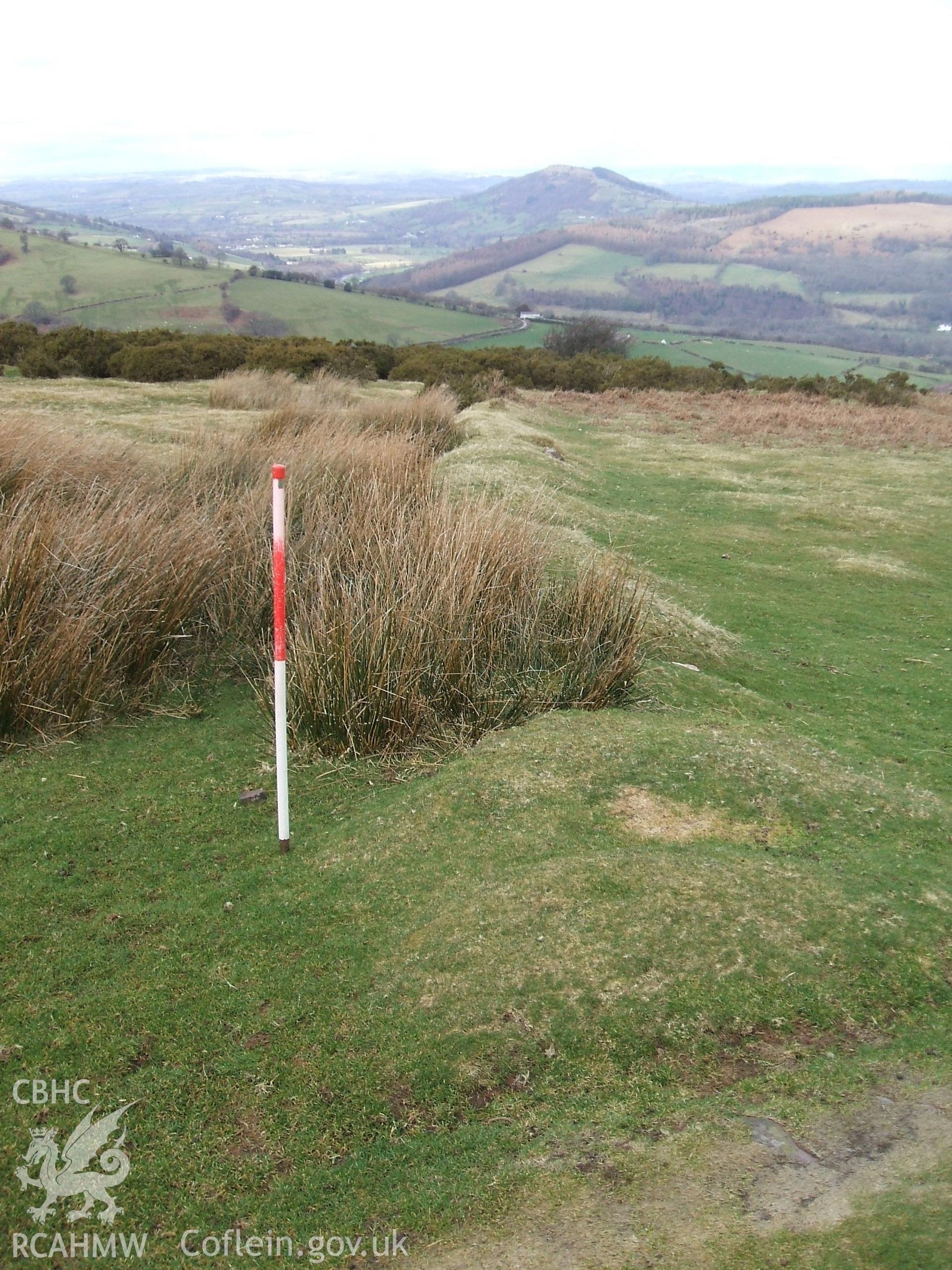 Digital colour photograph of a field boundary at Carreg Wen Fawr y Rugos taken on 04/03/2009 by B. Britton during the Mynydd Llangynidr Upland Survey undertaken by ArchaeoPhysica.