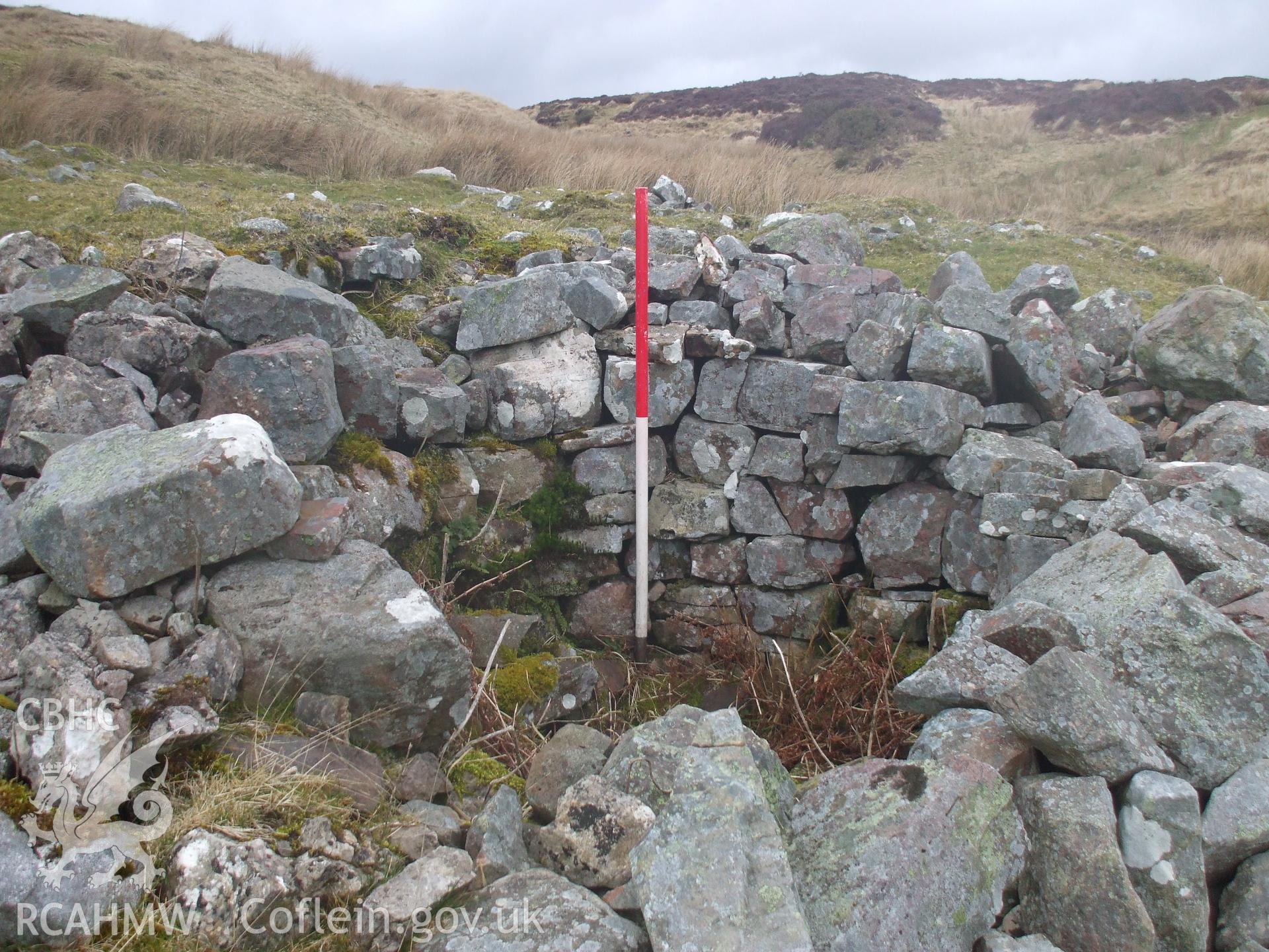 Digital colour photograph of Darren Ddu oven taken on 29/02/2008 by M.J. Roseveare during the Mynydd Llangynidr Upland Survey undertaken by ArchaeoPhysica.