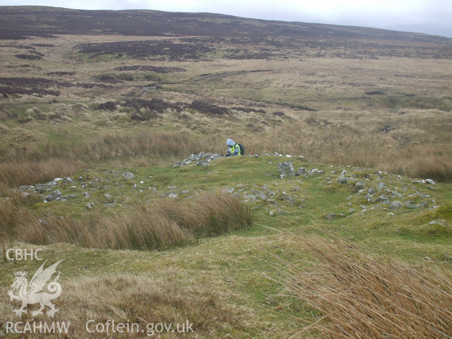 Digital colour photograph of Darren Ddu house platform taken on 28/02/2008 by M.J. Roseveare during the Mynydd Llangynidr Upland Survey undertaken by ArchaeoPhysica.