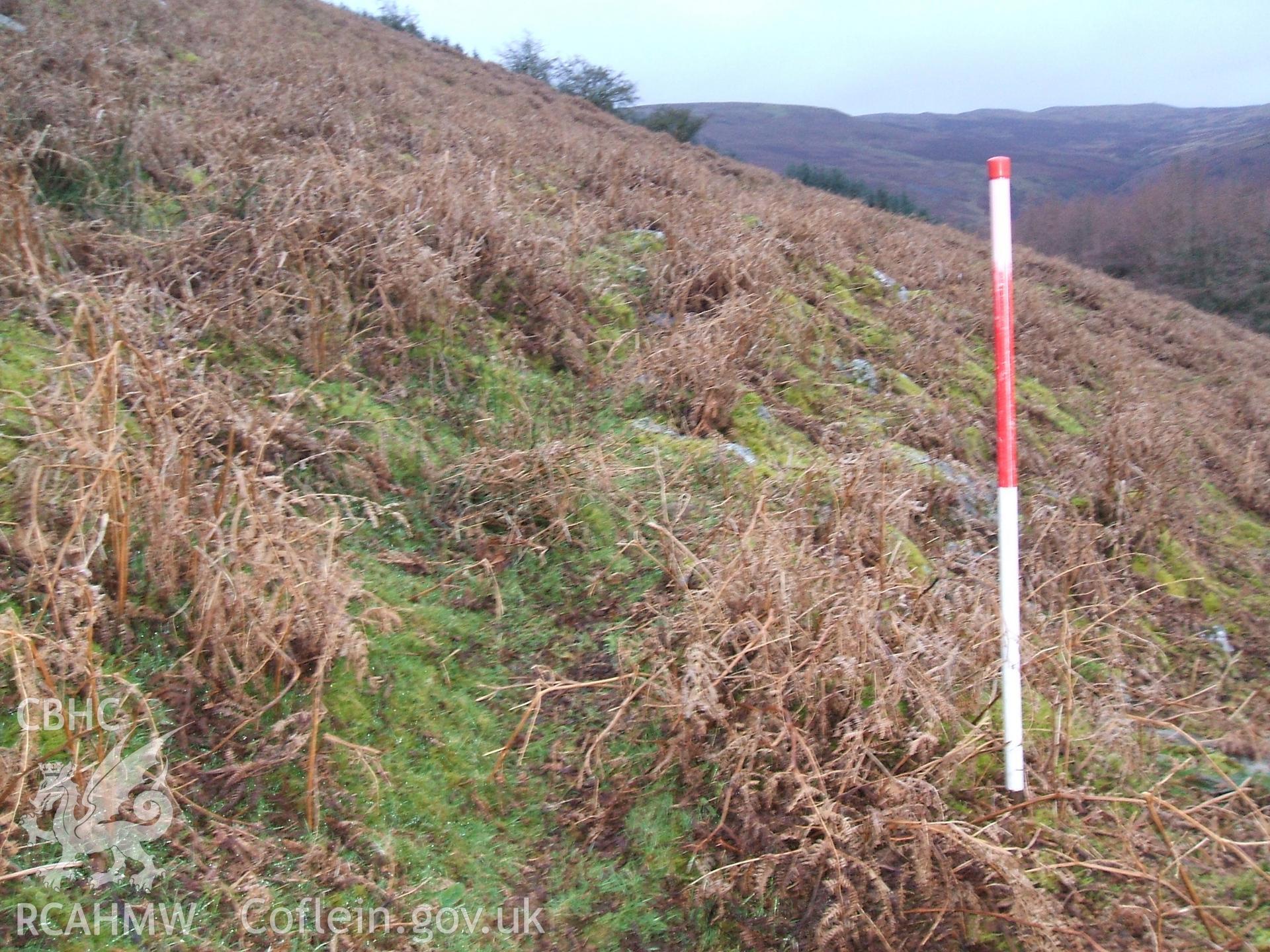 Digital colour photograph of a boundary at Blaen Cwmclaisfer IV taken on 16/01/2009 by B. Britton during the Mynydd Llangynidr Upland Survey undertaken by ArchaeoPhysica.