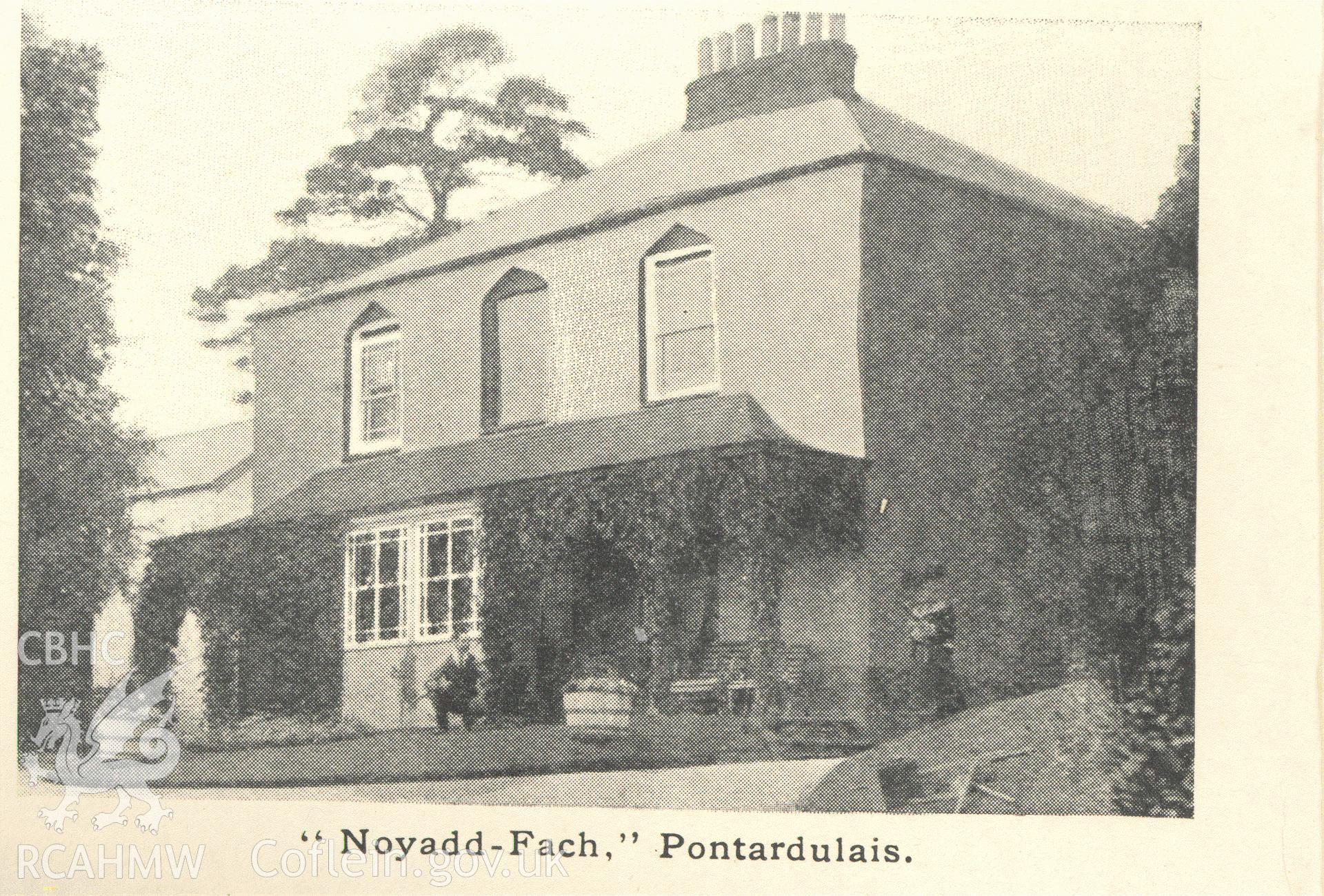 Digitised postcard image of Neuadd Fach, Hendy, J.R. Morgan. Produced by Parks and Gardens Data Services, from an original item in the Peter Davis Collection at Parks and Gardens UK. We hold only web-resolution images of this collection, suitable for viewing on screen and for research purposes only. We do not hold the original images, or publication quality scans.