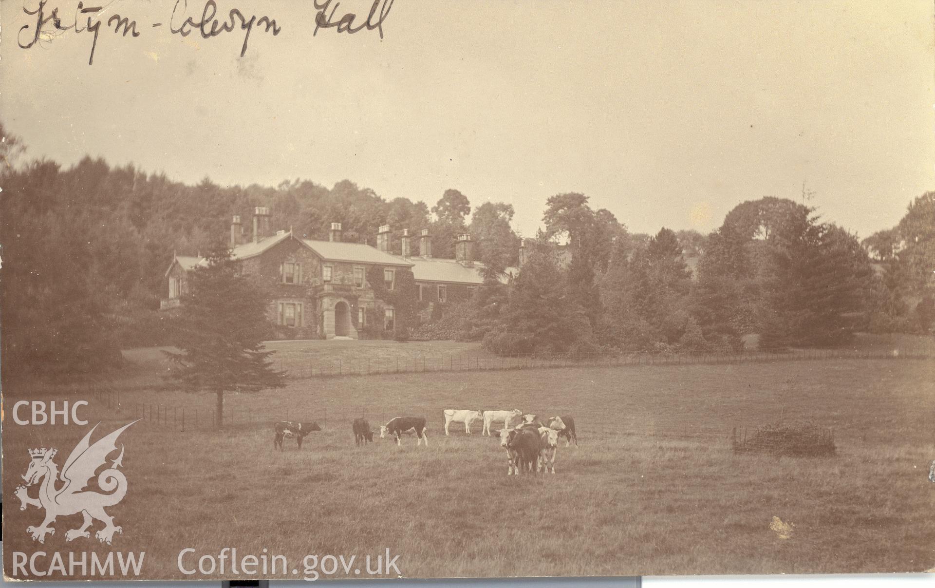 Digitised postcard image of Ystym Colwyn Hall, with cattle. Produced by Parks and Gardens Data Services, from an original item in the Peter Davis Collection at Parks and Gardens UK. We hold only web-resolution images of this collection, suitable for viewing on screen and for research purposes only. We do not hold the original images, or publication quality scans.