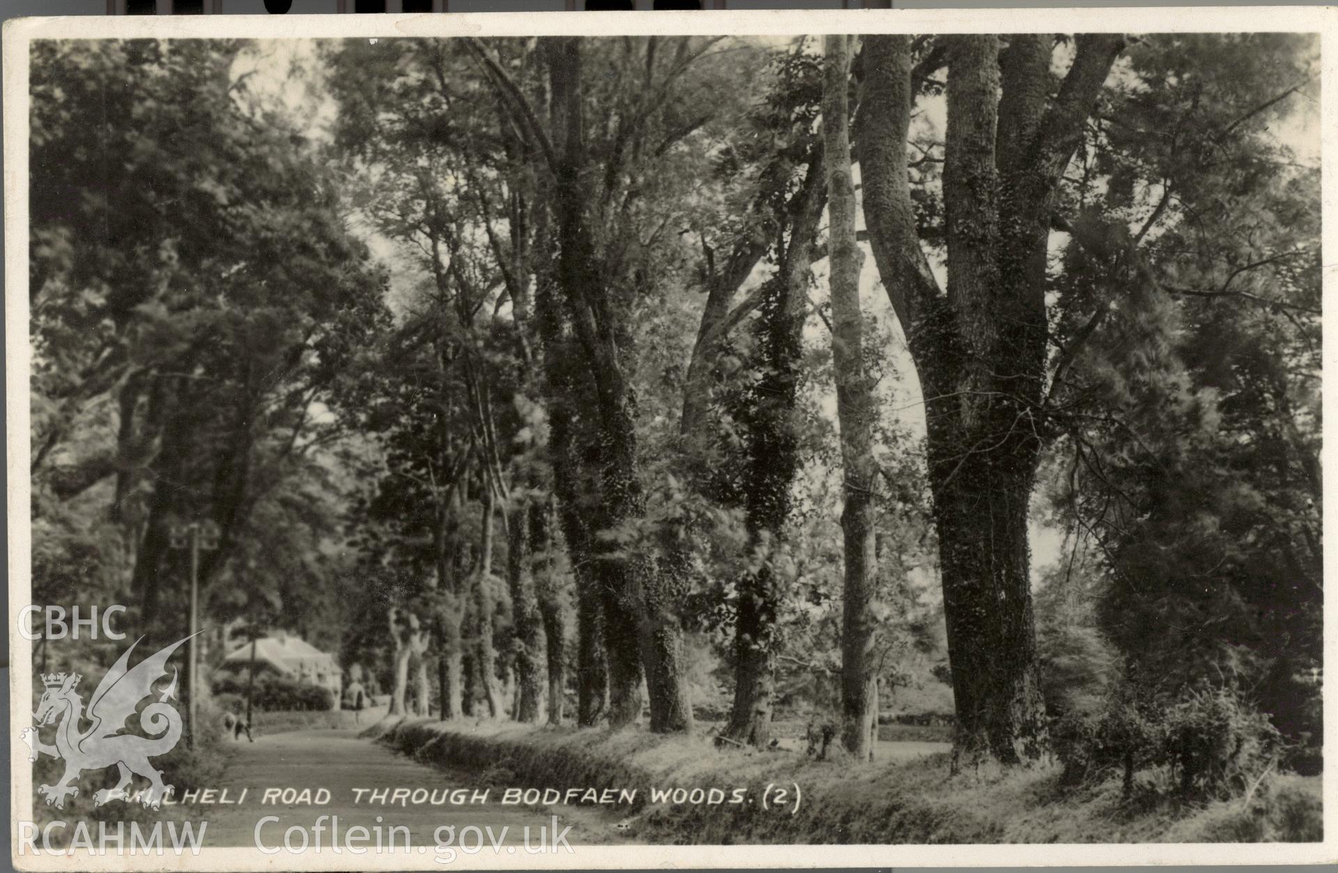 Digitised postcard image of Pwllheli road through Boduan Woods. Unlocated. Produced by Parks and Gardens Data Services, from an original item in the Peter Davis Collection at Parks and Gardens UK. We hold only web-resolution images of this collection, suitable for viewing on screen and for research purposes only. We do not hold the original images, or publication quality scans.