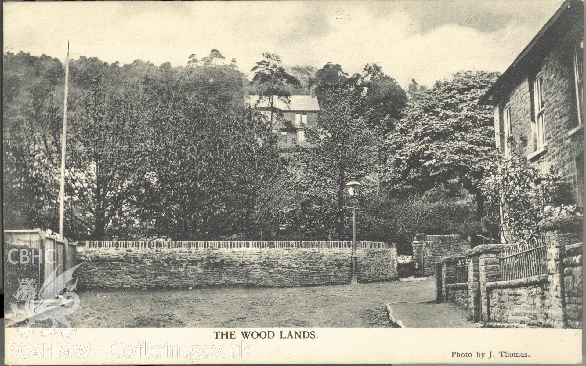 Digitised postcard image of the Wood Lands, Photo by J. Thomas, Published by Davies and Co., Abercarn. Unlocated. Produced by Parks and Gardens Data Services, from an original item in the Peter Davis Collection at Parks and Gardens UK. We hold only web-resolution images of this collection, suitable for viewing on screen and for research purposes only. We do not hold the original images, or publication quality scans.