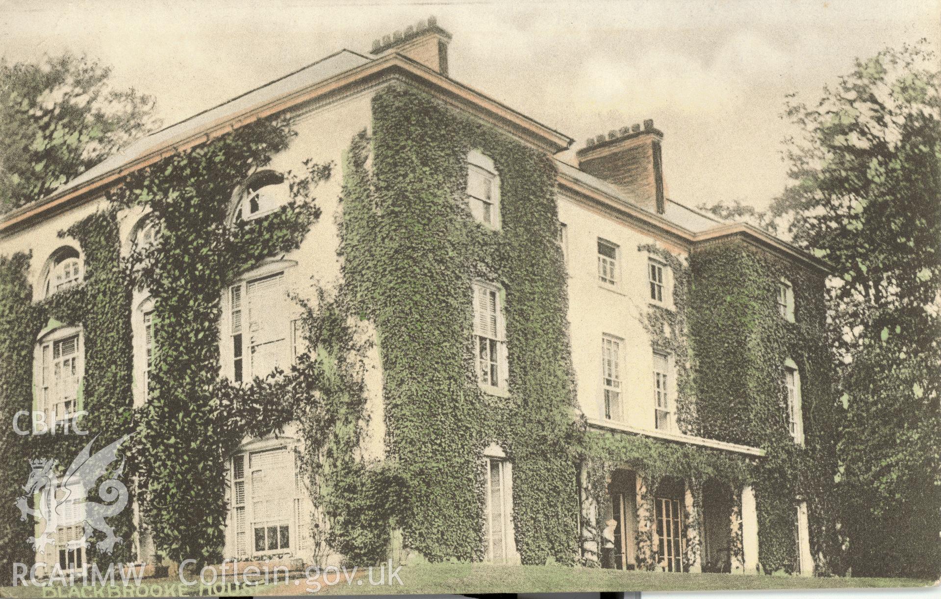 Digitised postcard image of Blackbrooke House, Llangattock-vibon-avel. Produced by Parks and Gardens Data Services, from an original item in the Peter Davis Collection at Parks and Gardens UK. We hold only web-resolution images of this collection, suitable for viewing on screen and for research purposes only. We do not hold the original images, or publication quality scans.
