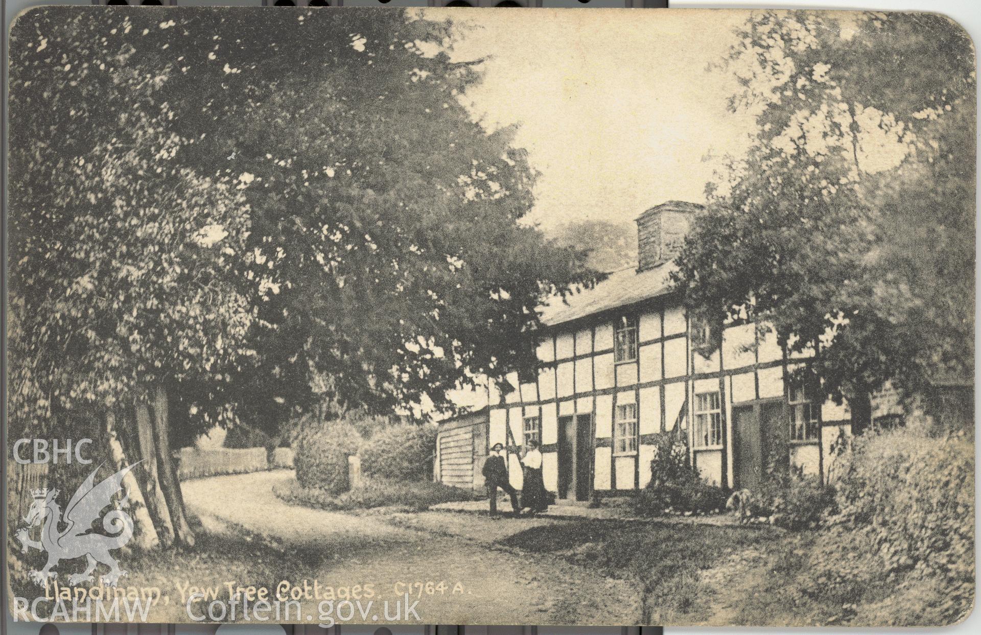 Digitised postcard image of Yew Tree Cottages, Llandinam, Harding's (Bristol and Cardiff) Progress Series. Produced by Parks and Gardens Data Services, from an original item in the Peter Davis Collection at Parks and Gardens UK. We hold only web-resolution images of this collection, suitable for viewing on screen and for research purposes only. We do not hold the original images, or publication quality scans.