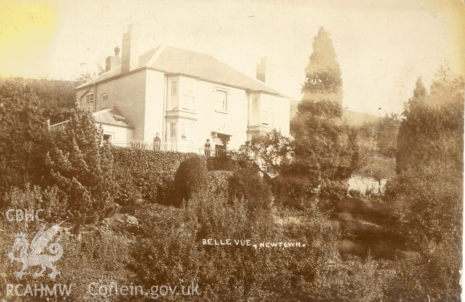 Digitised postcard image of Belle Vue, Newtown. Produced by Parks and Gardens Data Services, from an original item in the Peter Davis Collection at Parks and Gardens UK. We hold only web-resolution images of this collection, suitable for viewing on screen and for research purposes only. We do not hold the original images, or publication quality scans.