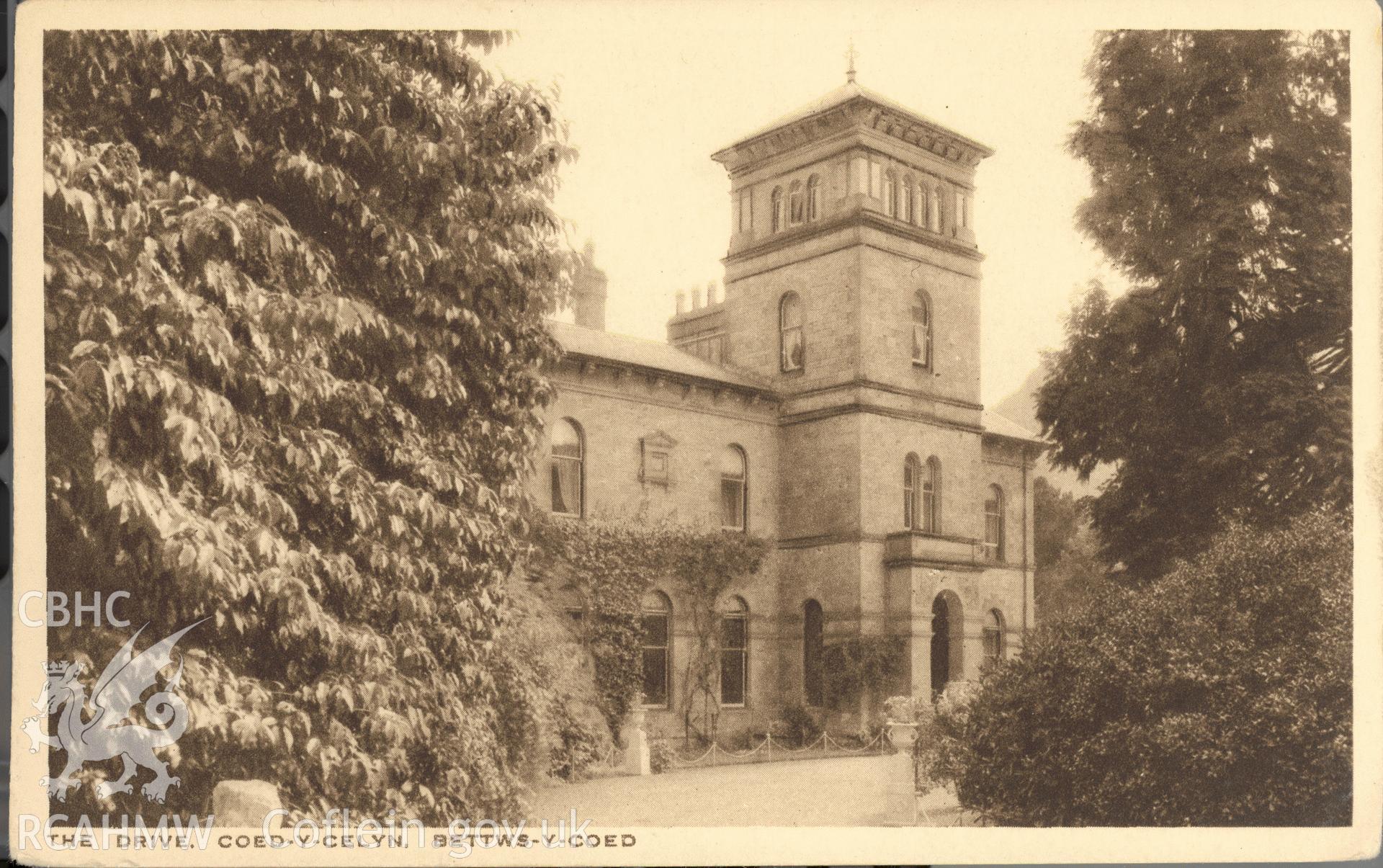 Digitised postcard image of Coed-y-Celyn, Betws-y-Coed, the R.A.P. Co. Ltd. Produced by Parks and Gardens Data Services, from an original item in the Peter Davis Collection at Parks and Gardens UK. We hold only web-resolution images of this collection, suitable for viewing on screen and for research purposes only. We do not hold the original images, or publication quality scans.