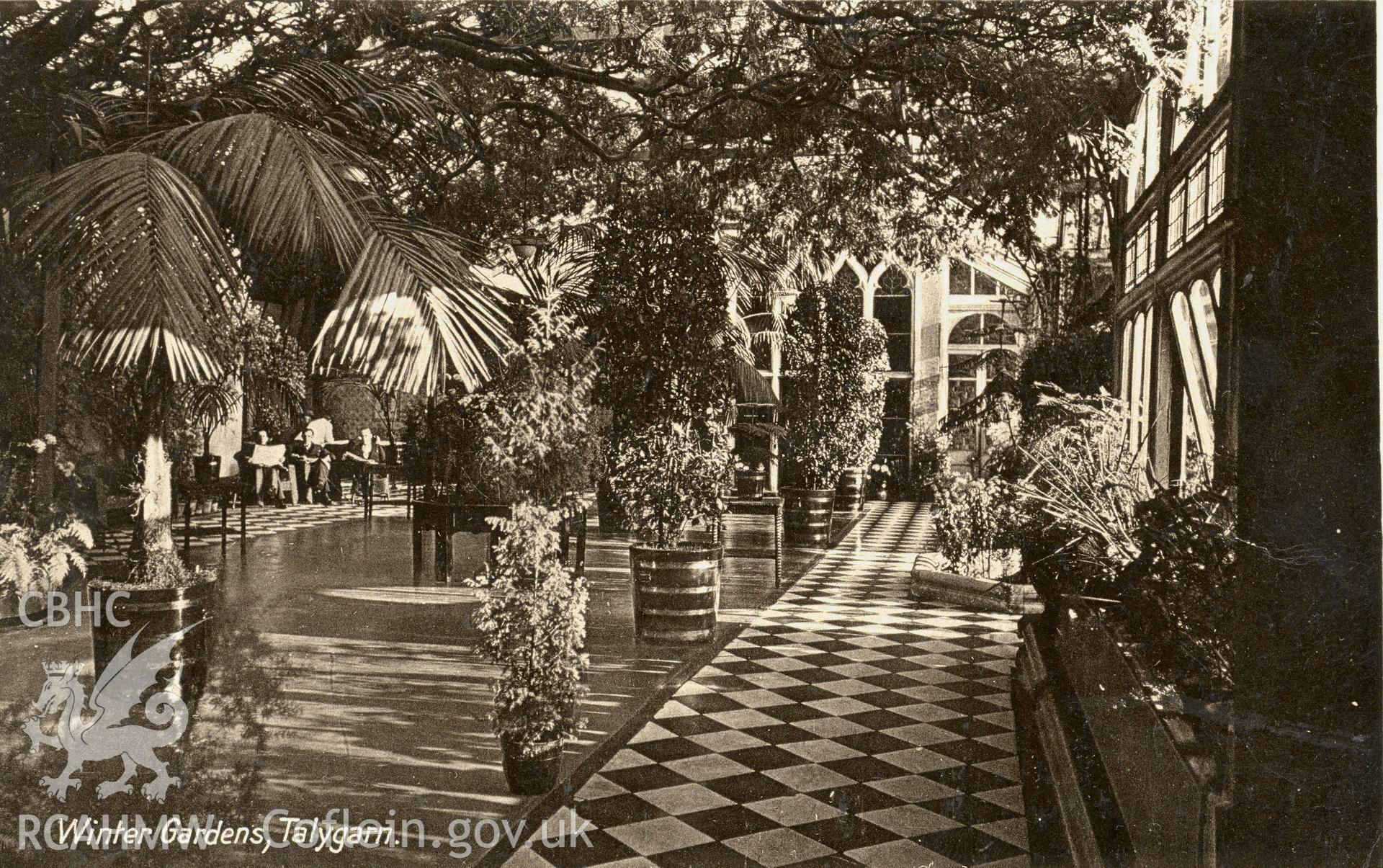 Digitised postcard image of interior of Winter Gardens, Talygarn, Pont-y-Clun, The R.A.P. Co. Ltd., London. Produced by Parks and Gardens Data Services, from an original item in the Peter Davis Collection at Parks and Gardens UK. We hold only web-resolution images of this collection, suitable for viewing on screen and for research purposes only. We do not hold the original images, or publication quality scans.