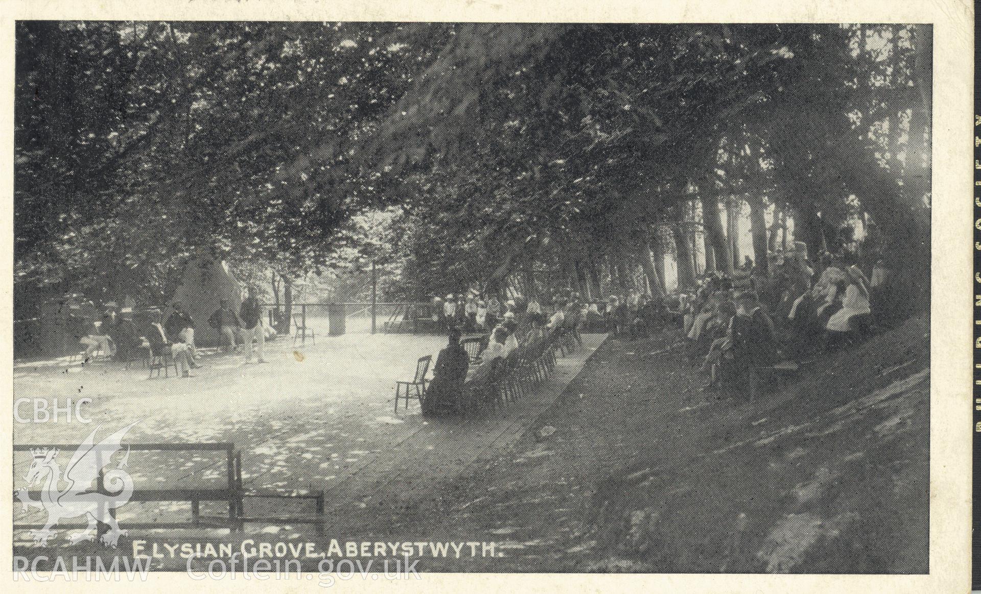 Digitised postcard image of the Elysian Grove, Aberystwyth. Produced by Parks and Gardens Data Services, from an original item in the Peter Davis Collection at Parks and Gardens UK. We hold only web-resolution images of this collection, suitable for viewing on screen and for research purposes only. We do not hold the original images, or publication quality scans.