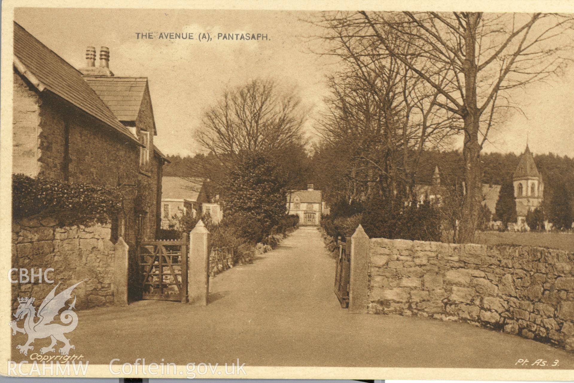 Digitised postcard image of the Avenue, Franciscan Friary, Pantasaph, Copyright Pt. As. 3. Produced by Parks and Gardens Data Services, from an original item in the Peter Davis Collection at Parks and Gardens UK. We hold only web-resolution images of this collection, suitable for viewing on screen and for research purposes only. We do not hold the original images, or publication quality scans.