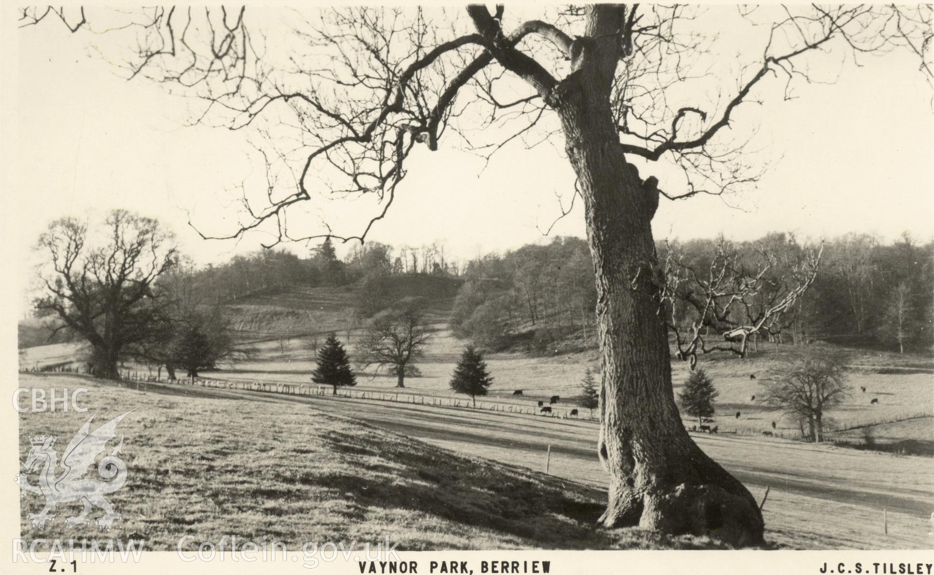 Digitised postcard image of Vaynor Park grounds, Berriew, F. Frith & Co. Produced by Parks and Gardens Data Services, from an original item in the Peter Davis Collection at Parks and Gardens UK. We hold only web-resolution images of this collection, suitable for viewing on screen and for research purposes only. We do not hold the original images, or publication quality scans.