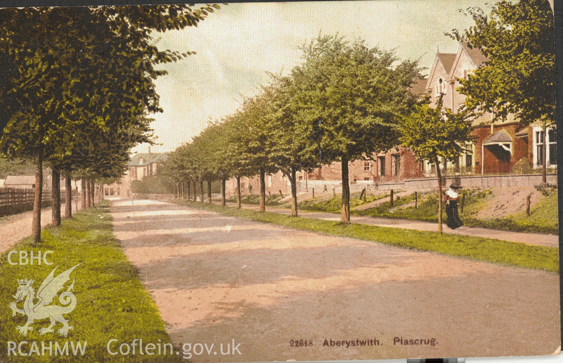 Digitised postcard image of Plascrug Avenue, Aberystwyth. Produced by Parks and Gardens Data Services, from an original item in the Peter Davis Collection at Parks and Gardens UK. We hold only web-resolution images of this collection, suitable for viewing on screen and for research purposes only. We do not hold the original images, or publication quality scans.
