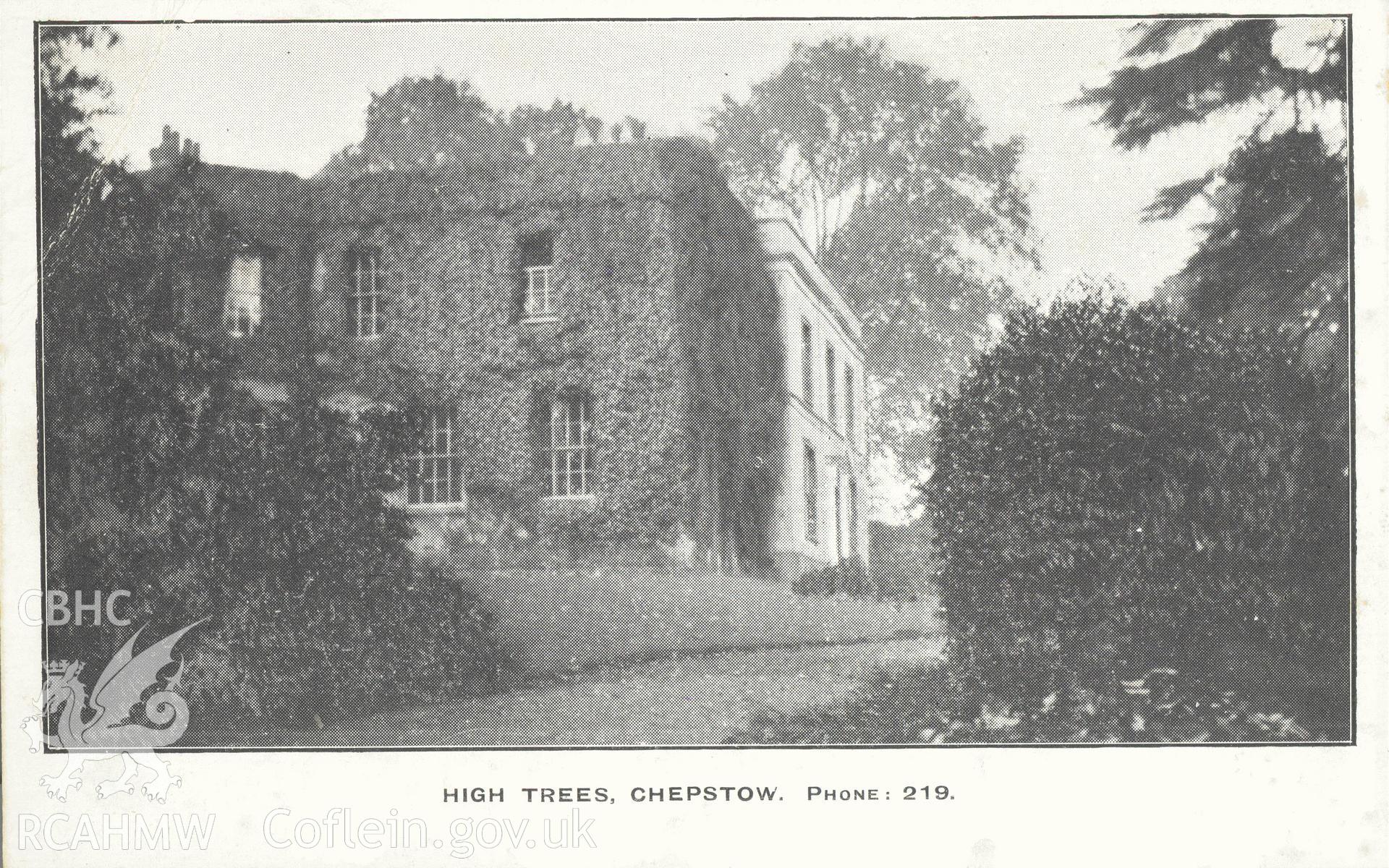Digitised postcard image of High Trees, Chepstow. Produced by Parks and Gardens Data Services, from an original item in the Peter Davis Collection at Parks and Gardens UK. We hold only web-resolution images of this collection, suitable for viewing on screen and for research purposes only. We do not hold the original images, or publication quality scans.