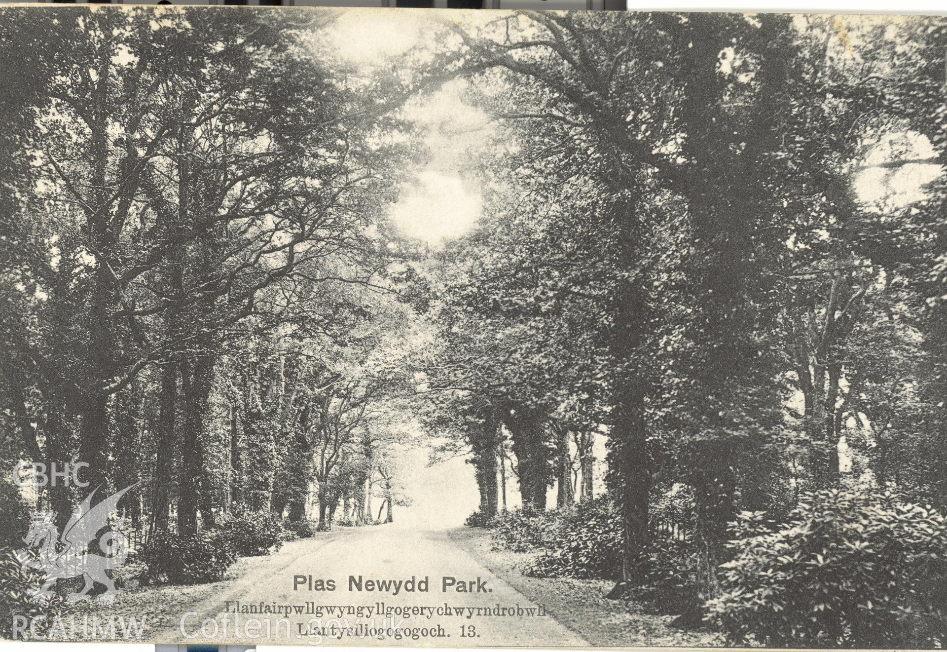Digitised postcard image of Plas Newydd grounds, Llanddaniel Fab, E.E. Roberts' Series  LlanfairPG. Produced by Parks and Gardens Data Services, from an original item in the Peter Davis Collection at Parks and Gardens UK. We hold only web-resolution images of this collection, suitable for viewing on screen and for research purposes only. We do not hold the original images, or publication quality scans.
