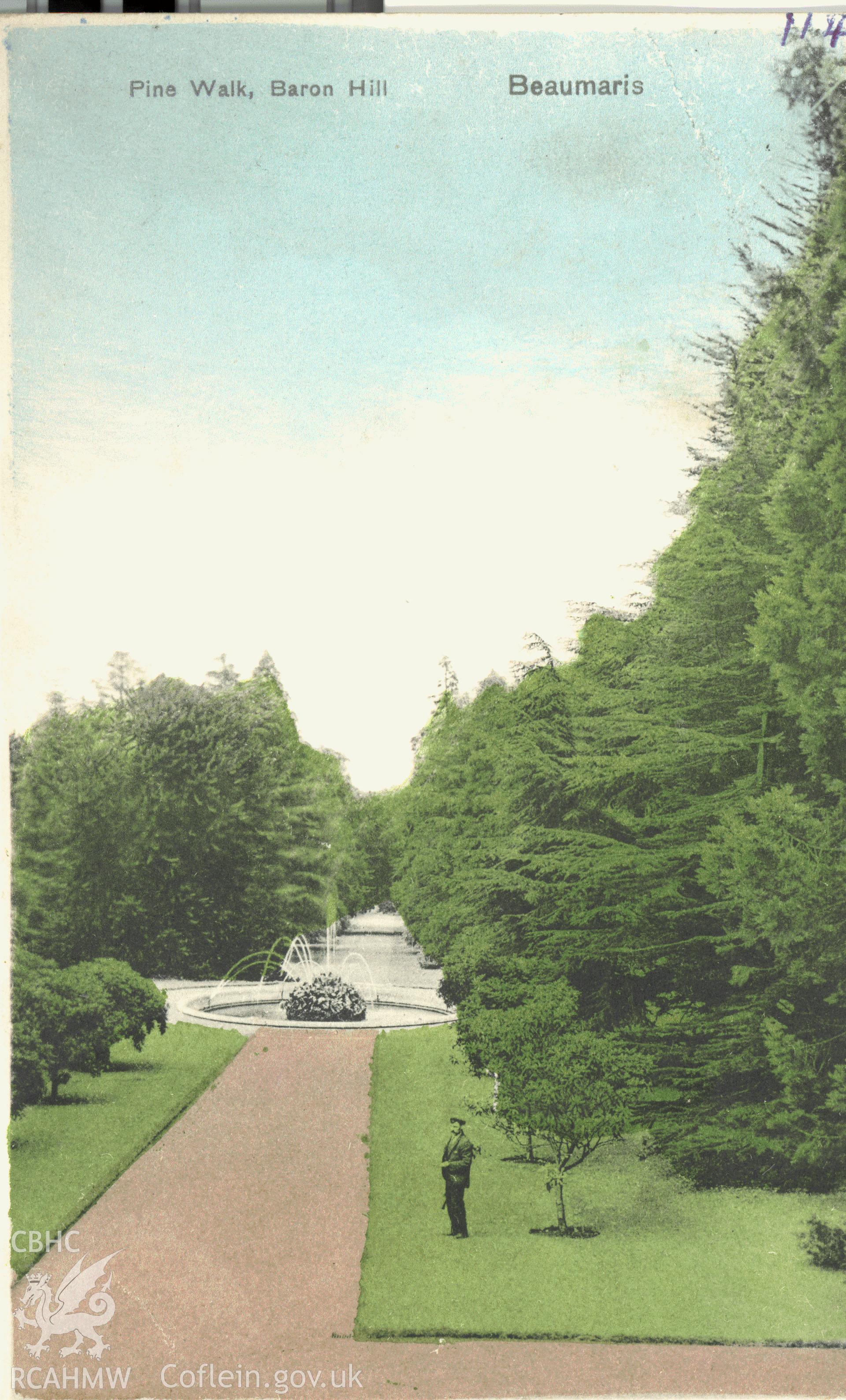 Digitised postcard image of Baron Hill Gardens, Beaumaris, Stewart and Woolf. Produced by Parks and Gardens Data Services, from an original item in the Peter Davis Collection at Parks and Gardens UK. We hold only web-resolution images of this collection, suitable for viewing on screen and for research purposes only. We do not hold the original images, or publication quality scans.