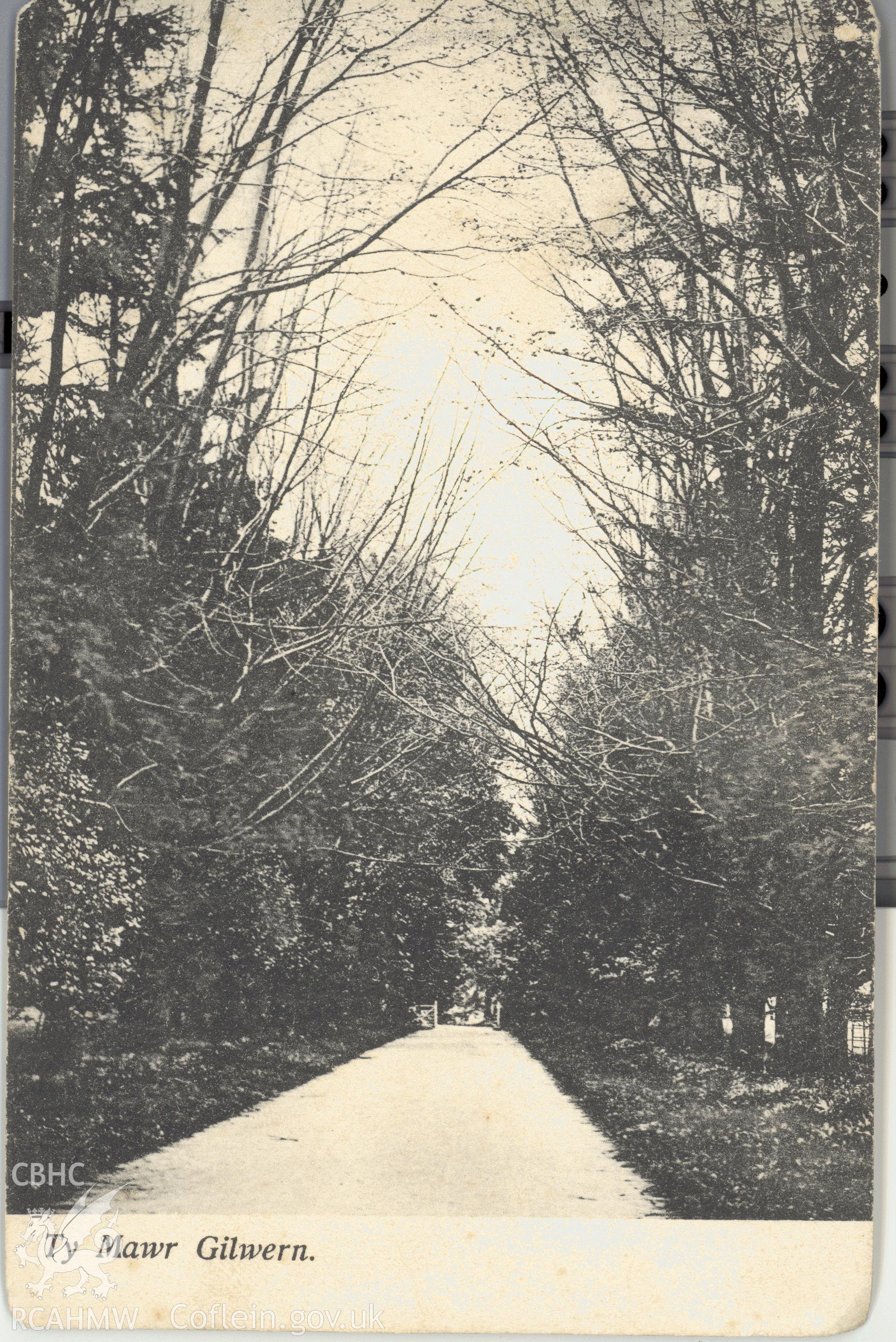 Digitised postcard image of Ty-Mawr, Gilwern, entrance avenue. Produced by Parks and Gardens Data Services, from an original item in the Peter Davis Collection at Parks and Gardens UK. We hold only web-resolution images of this collection, suitable for viewing on screen and for research purposes only. We do not hold the original images, or publication quality scans.