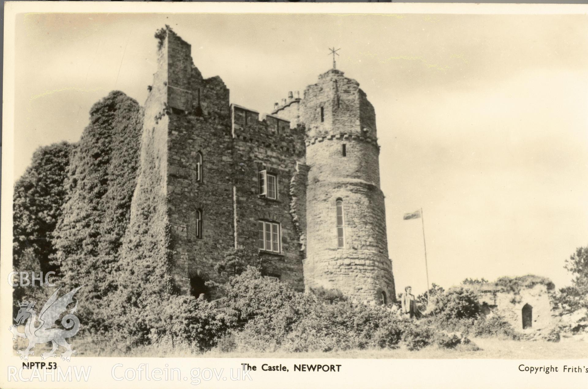 Digitised postcard image of The Castle, Newport, Pemrokeshire, Frith's Series. Produced by Parks and Gardens Data Services, from an original item in the Peter Davis Collection at Parks and Gardens UK. We hold only web-resolution images of this collection, suitable for viewing on screen and for research purposes only. We do not hold the original images, or publication quality scans.