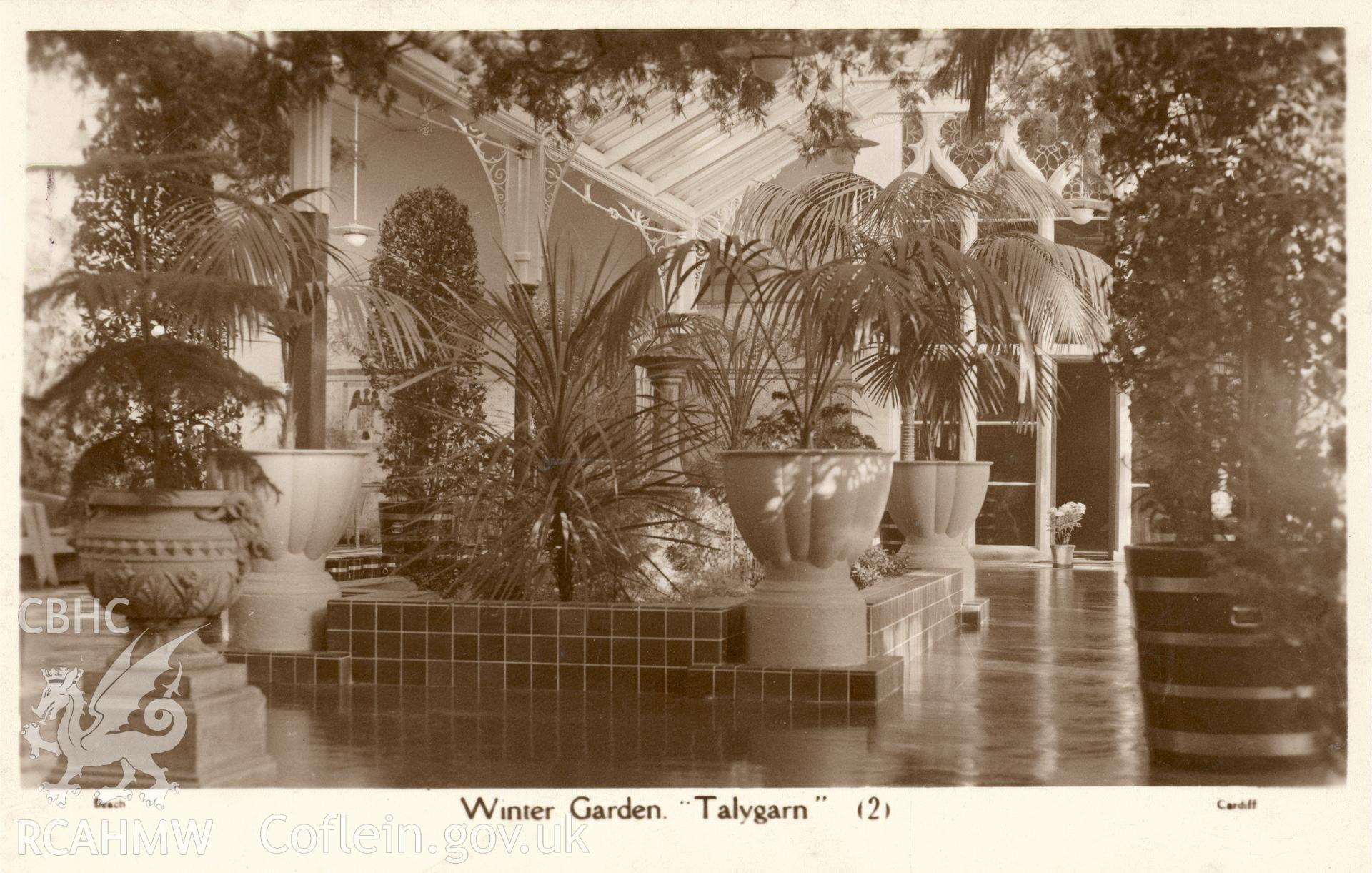 Digitised postcard image of interior of Winter Gardens, Talygarn, Pont-y-Clun, H.T. Beach, The Studio, 238 Whitchurch Road, Cardiff. Produced by Parks and Gardens Data Services, from an original item in the Peter Davis Collection at Parks and Gardens UK. We hold only web-resolution images of this collection, suitable for viewing on screen and for research purposes only. We do not hold the original images, or publication quality scans.