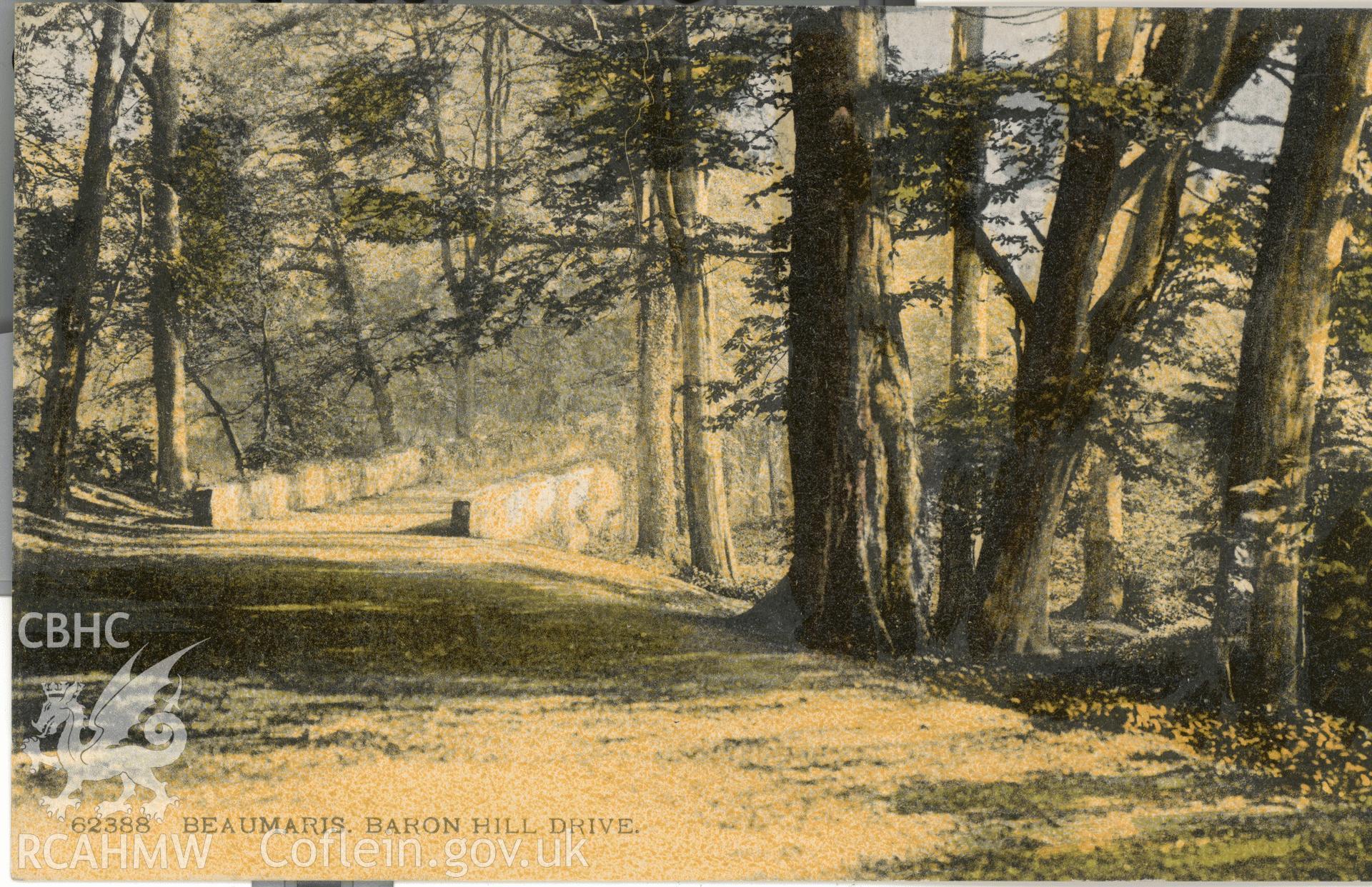 Digitised postcard image of Baron Hill Gardens, Beaumaris. Produced by Parks and Gardens Data Services, from an original item in the Peter Davis Collection at Parks and Gardens UK. We hold only web-resolution images of this collection, suitable for viewing on screen and for research purposes only. We do not hold the original images, or publication quality scans.