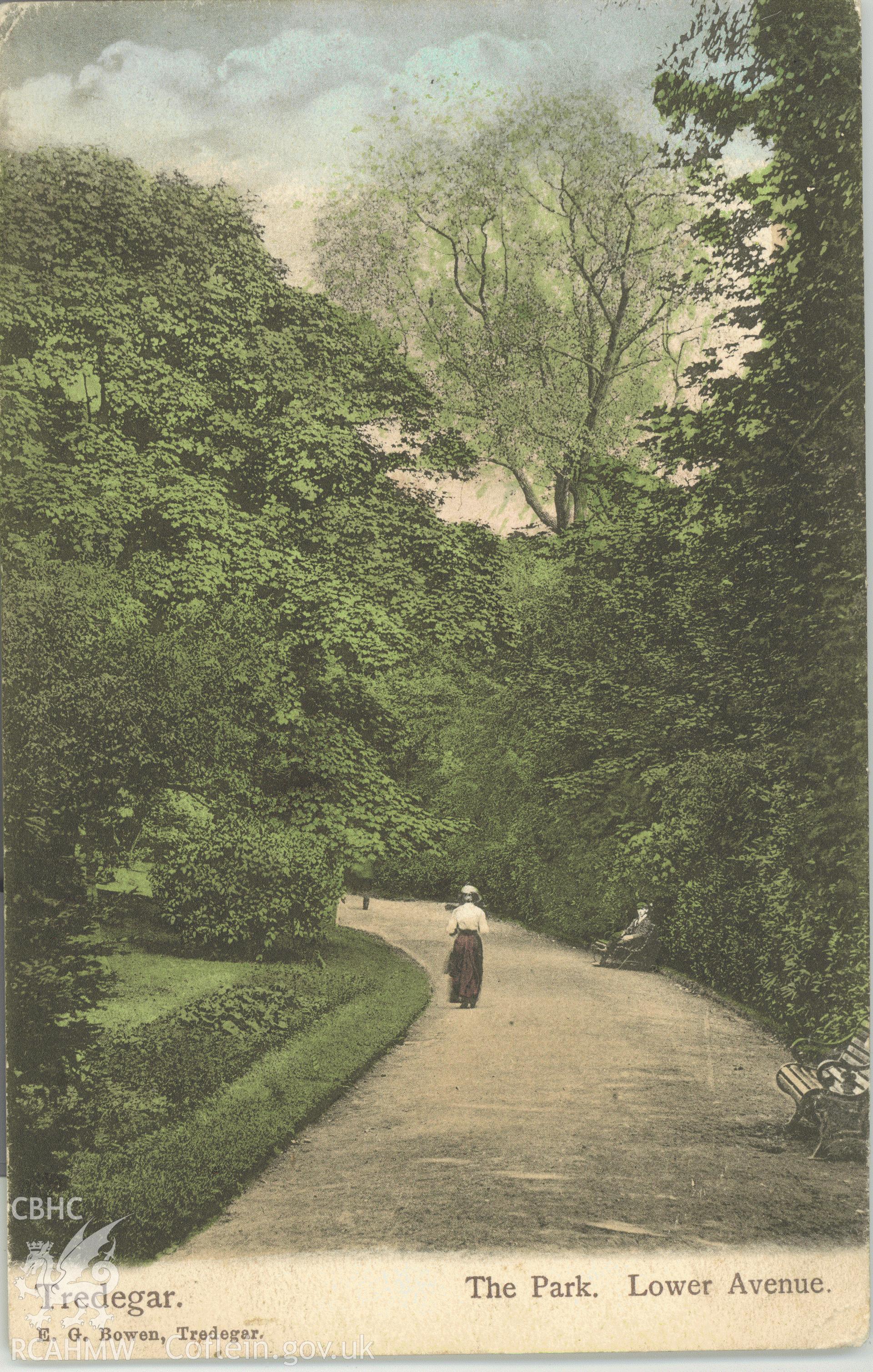 Digitised postcard image of Lower Avenue, Bedwellty Park, Tredegar, E.G. Bowen, 22 Commercial Street, Tredegar. Produced by Parks and Gardens Data Services, from an original item in the Peter Davis Collection at Parks and Gardens UK. We hold only web-resolution images of this collection, suitable for viewing on screen and for research purposes only. We do not hold the original images, or publication quality scans.