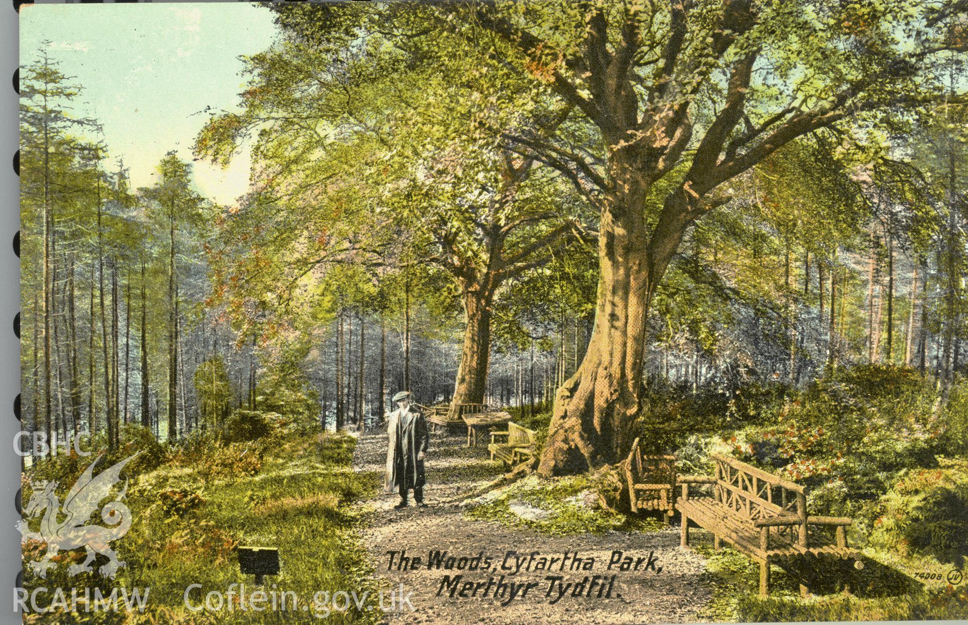 Digitised postcard image of Cyfarthfa Park, Merthyr Tydfil, showing rustic wooden benches with figure, Valentine and Sons Ltd. Produced by Parks and Gardens Data Services, from an original item in the Peter Davis Collection at Parks and Gardens UK. We hold only web-resolution images of this collection, suitable for viewing on screen and for research purposes only. We do not hold the original images, or publication quality scans.