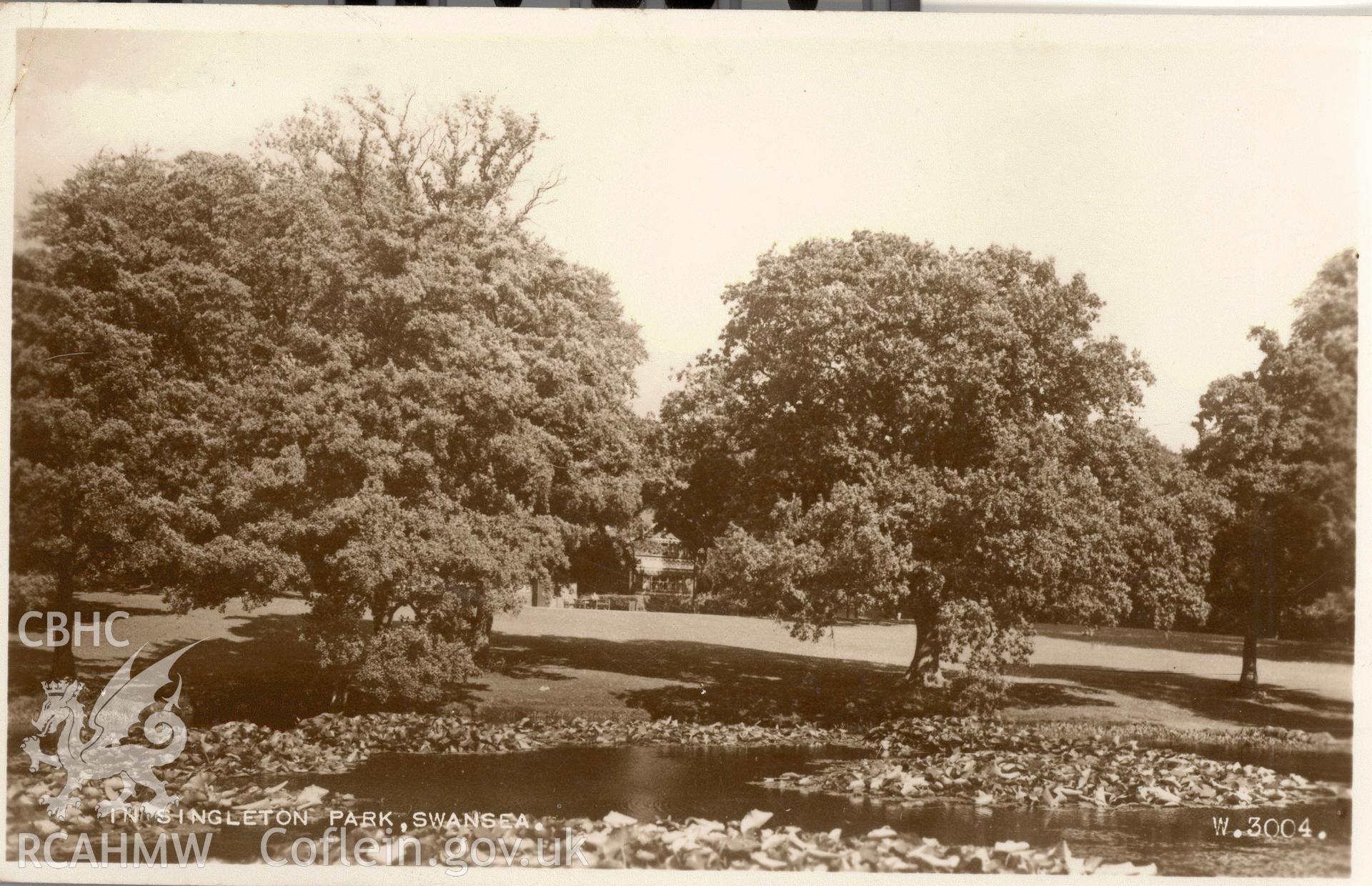 Digitised postcard image of the Lily Pond at Singleton Park, Swansea, Valentine and Sons, Ltd. Produced by Parks and Gardens Data Services, from an original item in the Peter Davis Collection at Parks and Gardens UK. We hold only web-resolution images of this collection, suitable for viewing on screen and for research purposes only. We do not hold the original images, or publication quality scans.