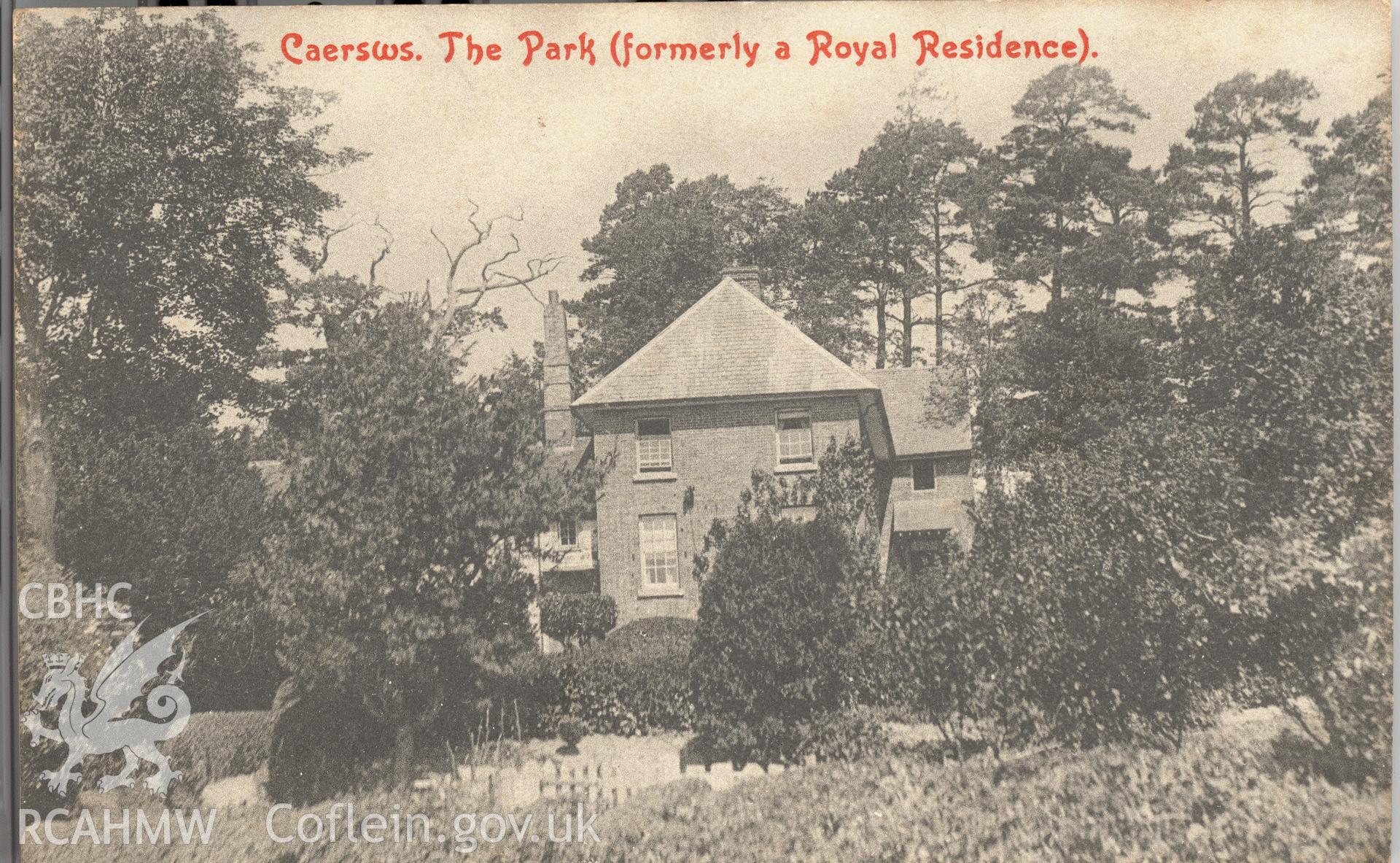Digitised postcard image of Park, Caersws, Park & Son, Newtown. Produced by Parks and Gardens Data Services, from an original item in the Peter Davis Collection at Parks and Gardens UK. We hold only web-resolution images of this collection, suitable for viewing on screen and for research purposes only. We do not hold the original images, or publication quality scans.