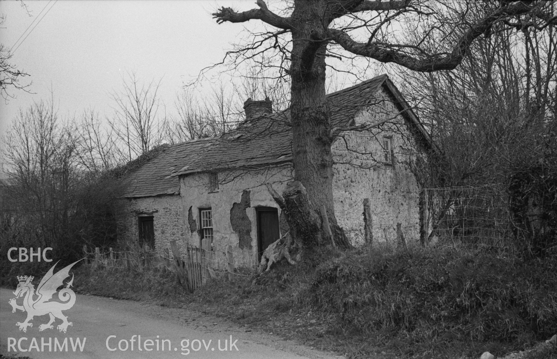 Black and White photograph showing a mud-walled cottage and oak tree at Castell Cynon on the road 1.3km west of the church near Llanfihangel-yr-Creuddyn. Photographed by Arthur Chater in April 1962 from Grid Reference SN 653 761, looking north west.