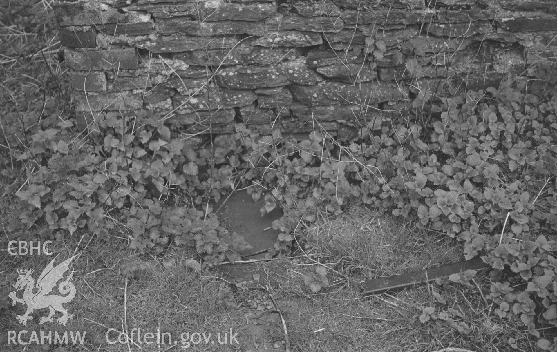 Black and White photograph showing Larnium in yard at back of Hafod Uchtryd, near the stable buildings. Photographed by Arthur Chater in March 1961 from Grid Reference SN 759 733.