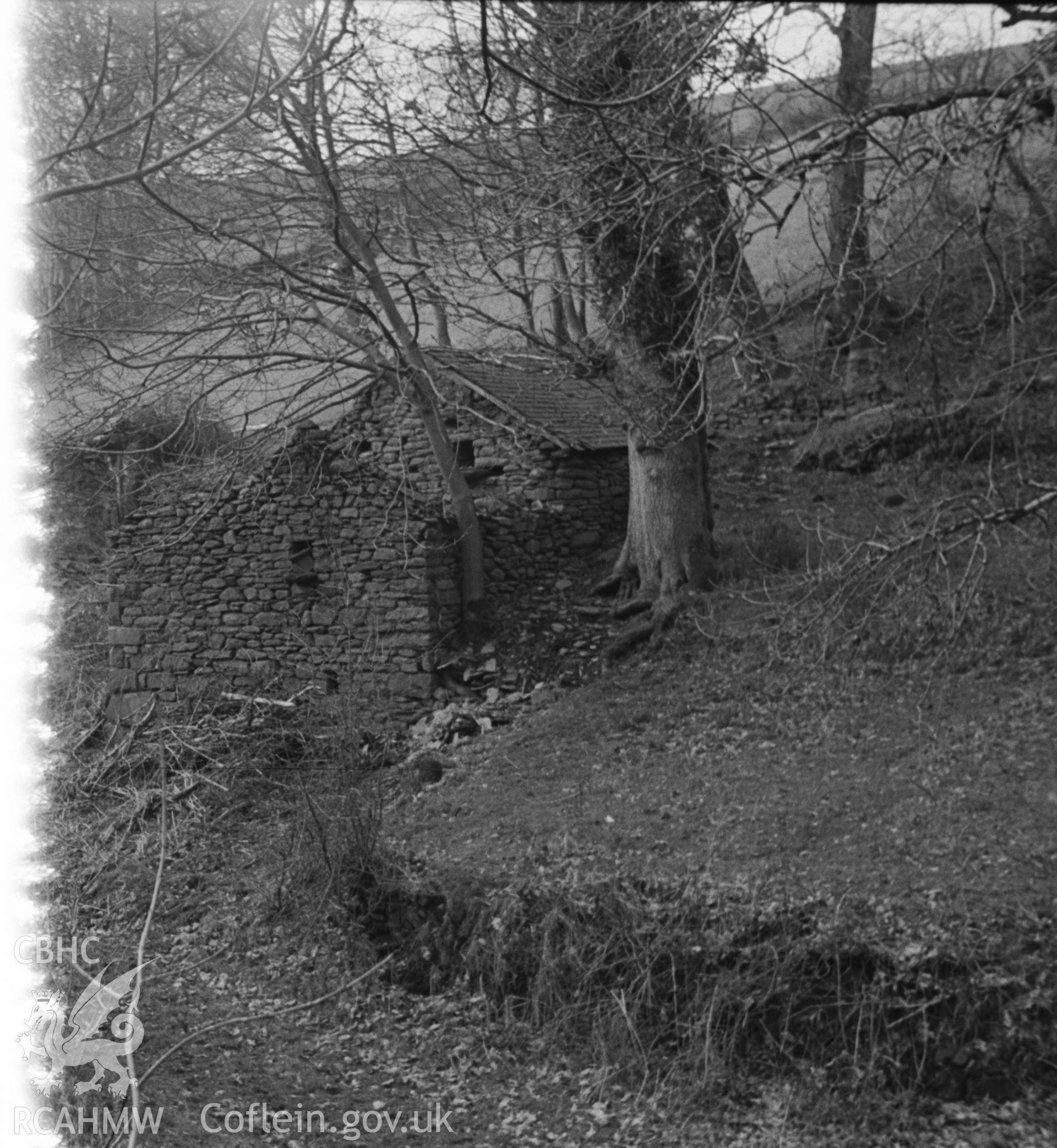 Black and White photograph showing ruins of Felin-fach, Cwm Peris.