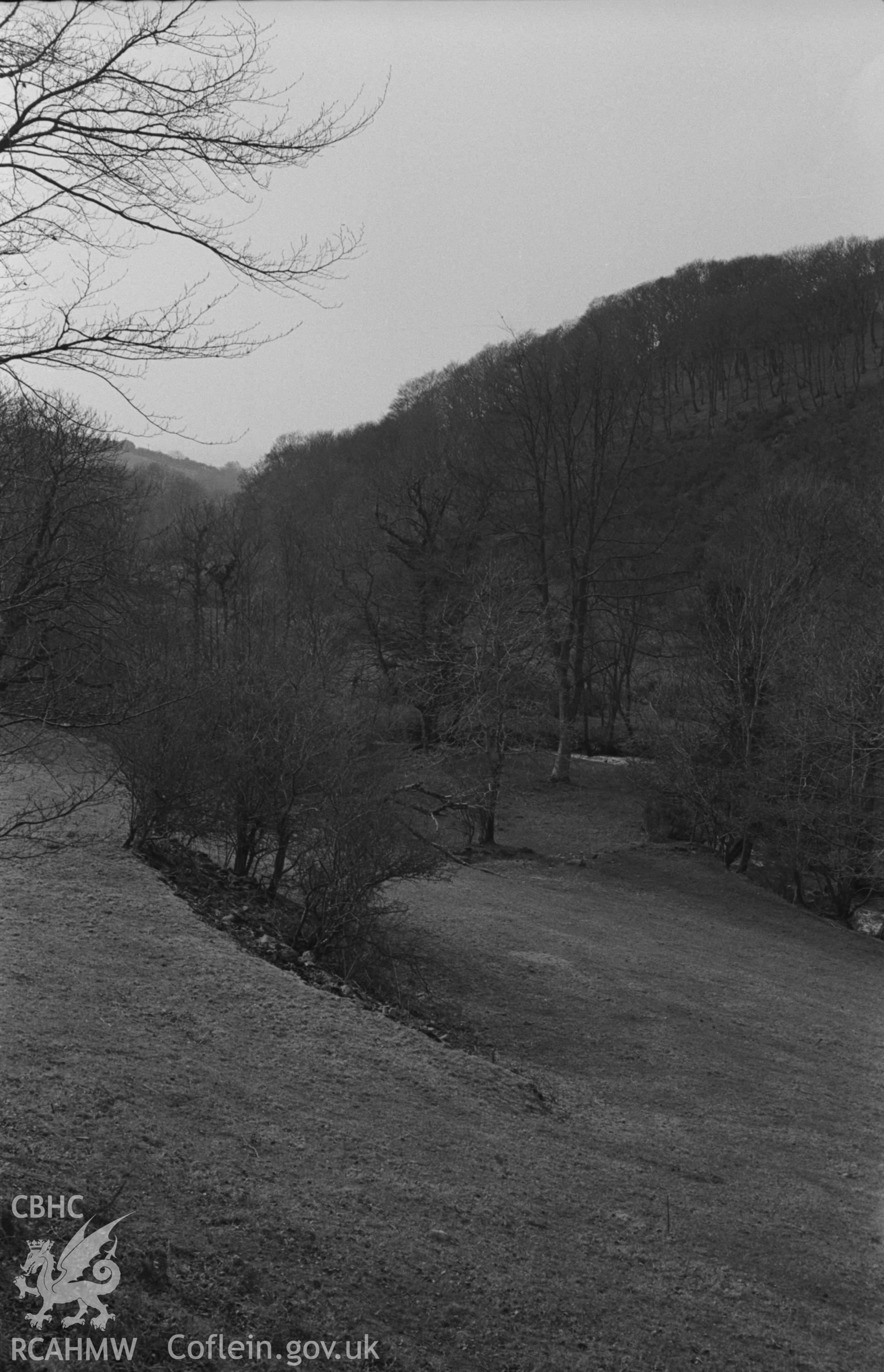 Black and White photograph showing view down the valley from the track 300m. west of Felin Fach, with Coed Allt-Goch on the right. Photographed by Arthur Chater in April 1962 from Grid Reference SN 532 671, looking west.