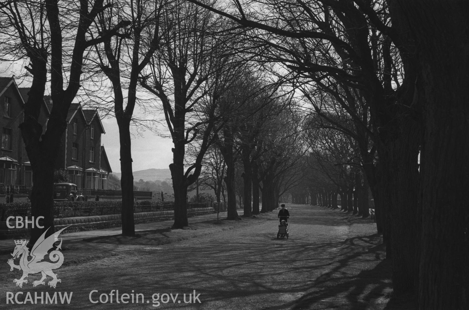 Black and White photograph showing woman and pram on Plascrug Avenue. Photographed by Arthur Chater in March 1961, from Grid Reference SN 5864 8158, looking south east.