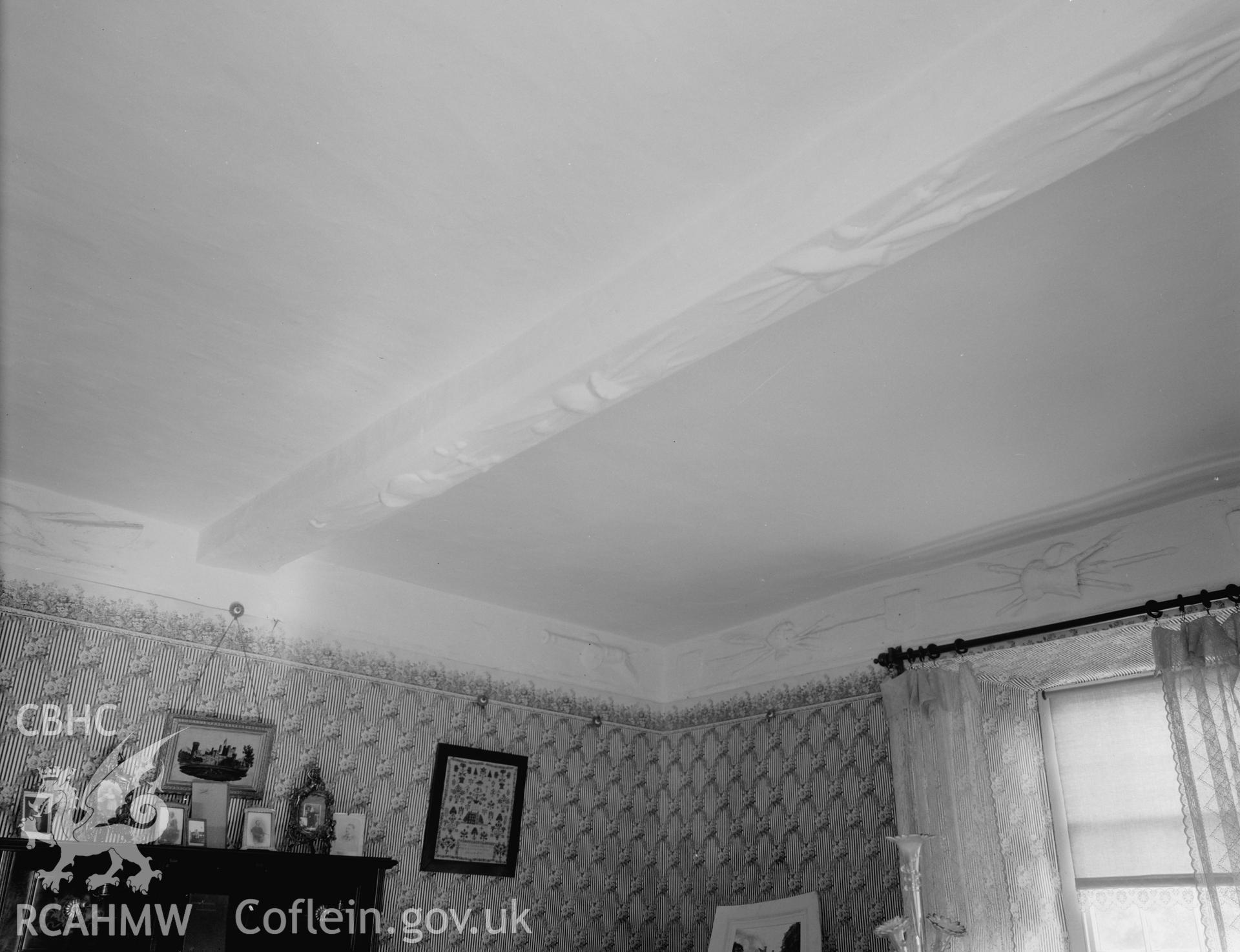 View of the plaster ceiling