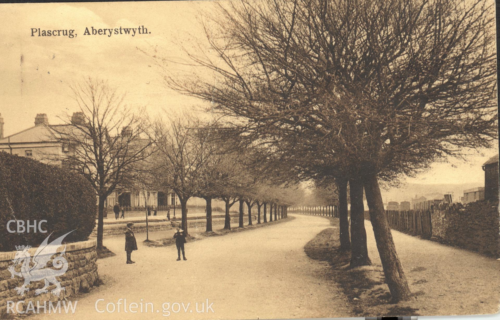 Digitised postcard image of Plascrug Avenue, Aberystwyth, Boots Chemists "Pelham" Series. Produced by Parks and Gardens Data Services, from an original item in the Peter Davis Collection at Parks and Gardens UK. We hold only web-resolution images of this collection, suitable for viewing on screen and for research purposes only. We do not hold the original images, or publication quality scans.