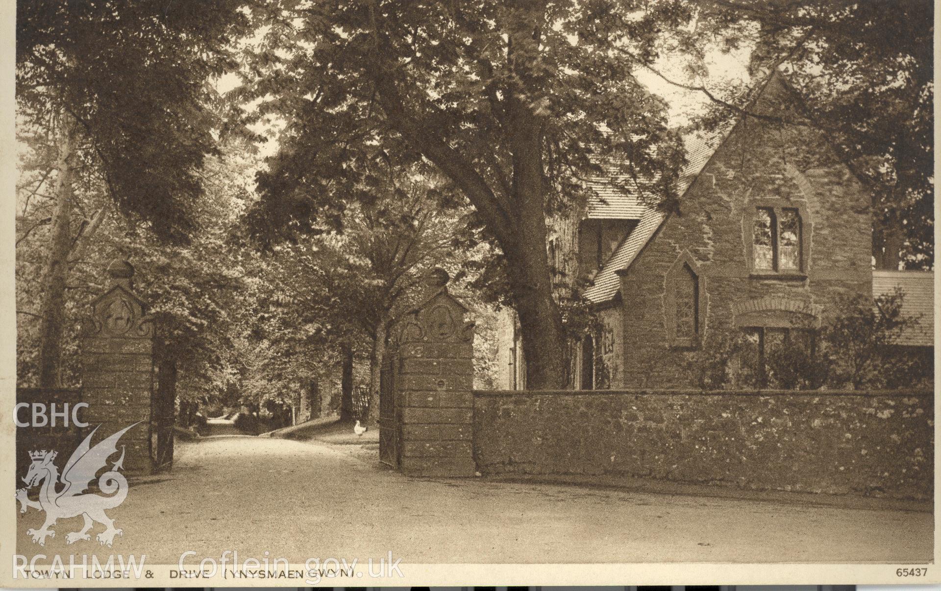 Digitised postcard image of Ynys-y-Maengwyn lodge, Bryn-Crug, Photochrom Co. Ltd. Produced by Parks and Gardens Data Services, from an original item in the Peter Davis Collection at Parks and Gardens UK. We hold only web-resolution images of this collection, suitable for viewing on screen and for research purposes only. We do not hold the original images, or publication quality scans.