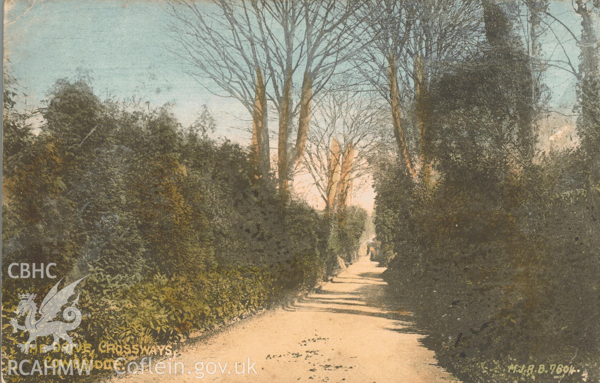 Digitised postcard image of the Drive, Crossways, Cowbridge, MJRB . Produced by Parks and Gardens Data Services, from an original item in the Peter Davis Collection at Parks and Gardens UK. We hold only web-resolution images of this collection, suitable for viewing on screen and for research purposes only. We do not hold the original images, or publication quality scans.