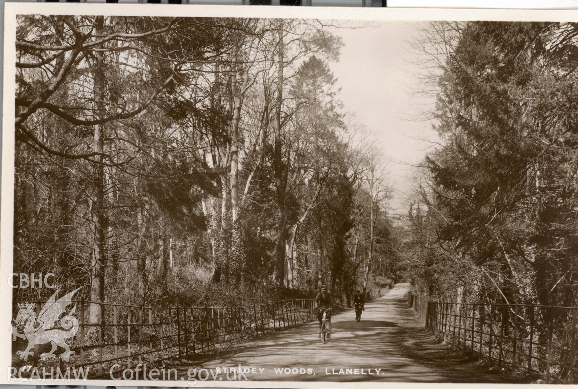 Digitised postcard image of woods, Stradey Park garden, Llanelli, WHS&S Ltd. Produced by Parks and Gardens Data Services, from an original item in the Peter Davis Collection at Parks and Gardens UK. We hold only web-resolution images of this collection, suitable for viewing on screen and for research purposes only. We do not hold the original images, or publication quality scans.